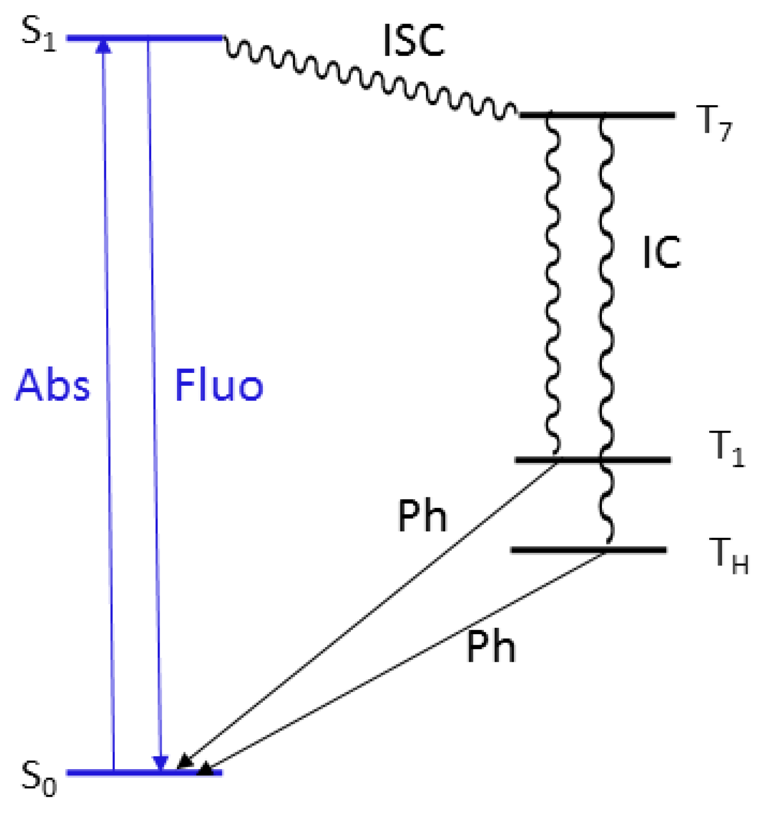 Molecules 24 02552 g008 Molecules 24 02552 g008