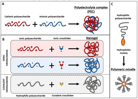 Natural Polysaccharides for siRNA Delivery: Nanocarriers