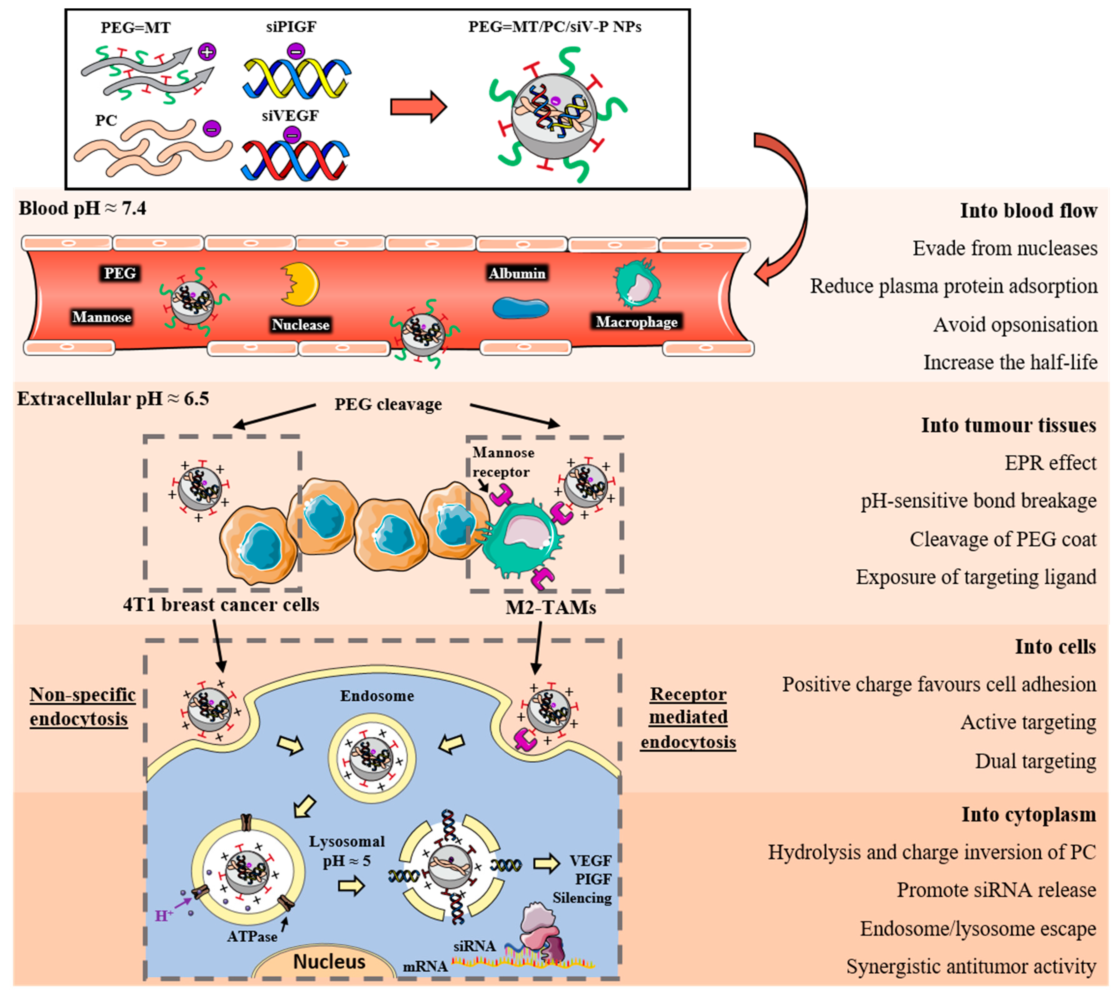 Molecules 24 02570 g003 Molecules 24 02570 g003