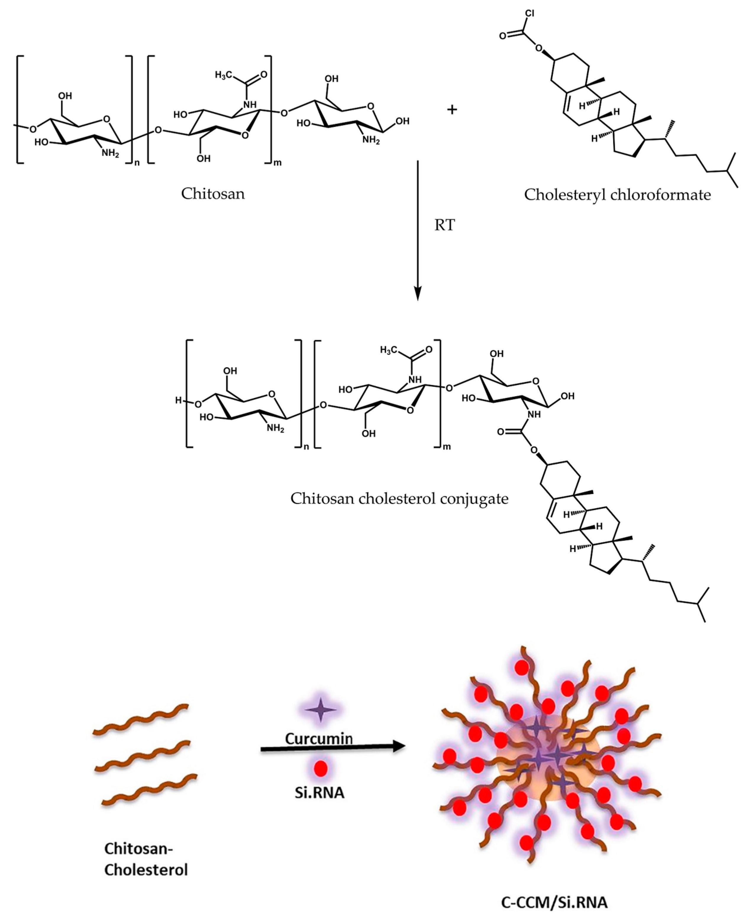 Molecules 24 02570 g005 Molecules 24 02570 g005