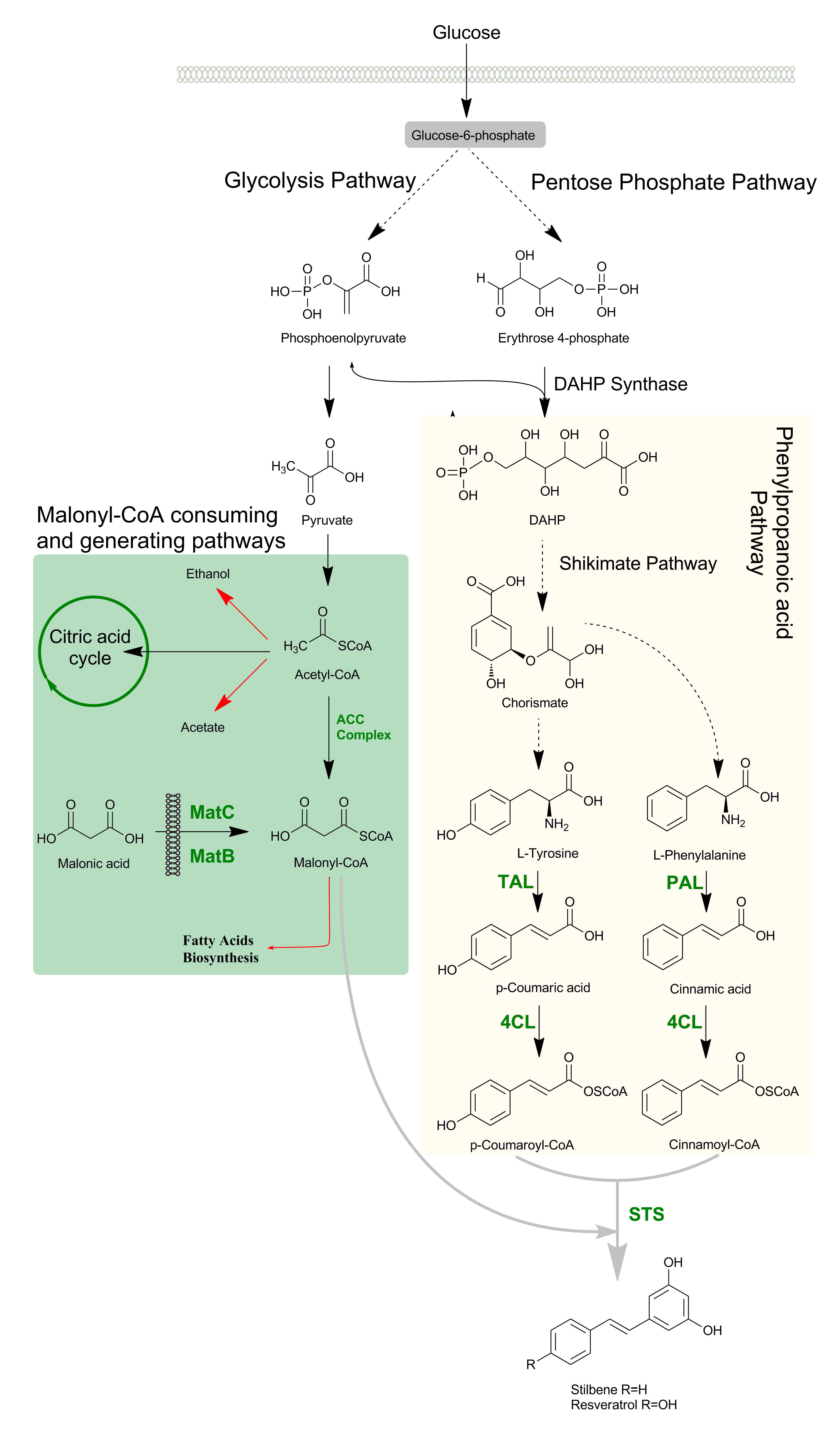 Molecules 24 02571 g002
