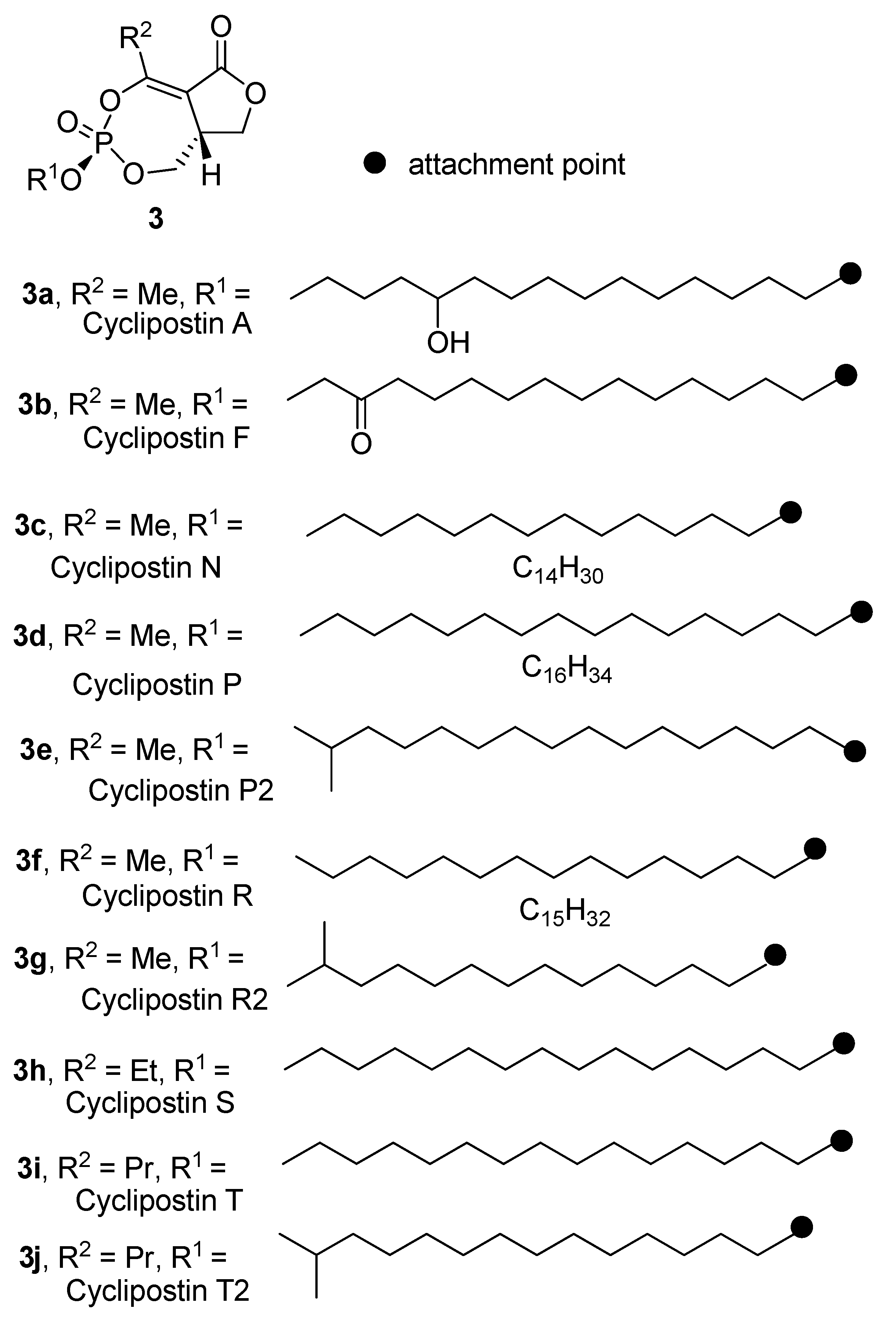 Molecules 24 02579 g002 Molecules 24 02579 g002
