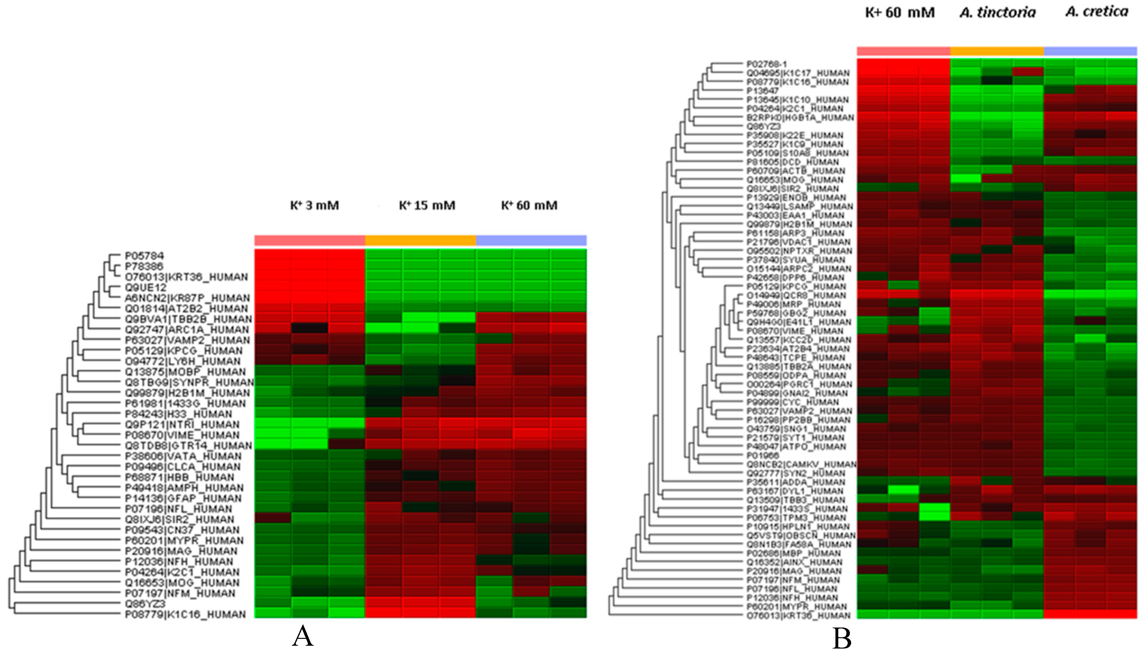 Molecules 24 02582 g007 Molecules 24 02582 g007