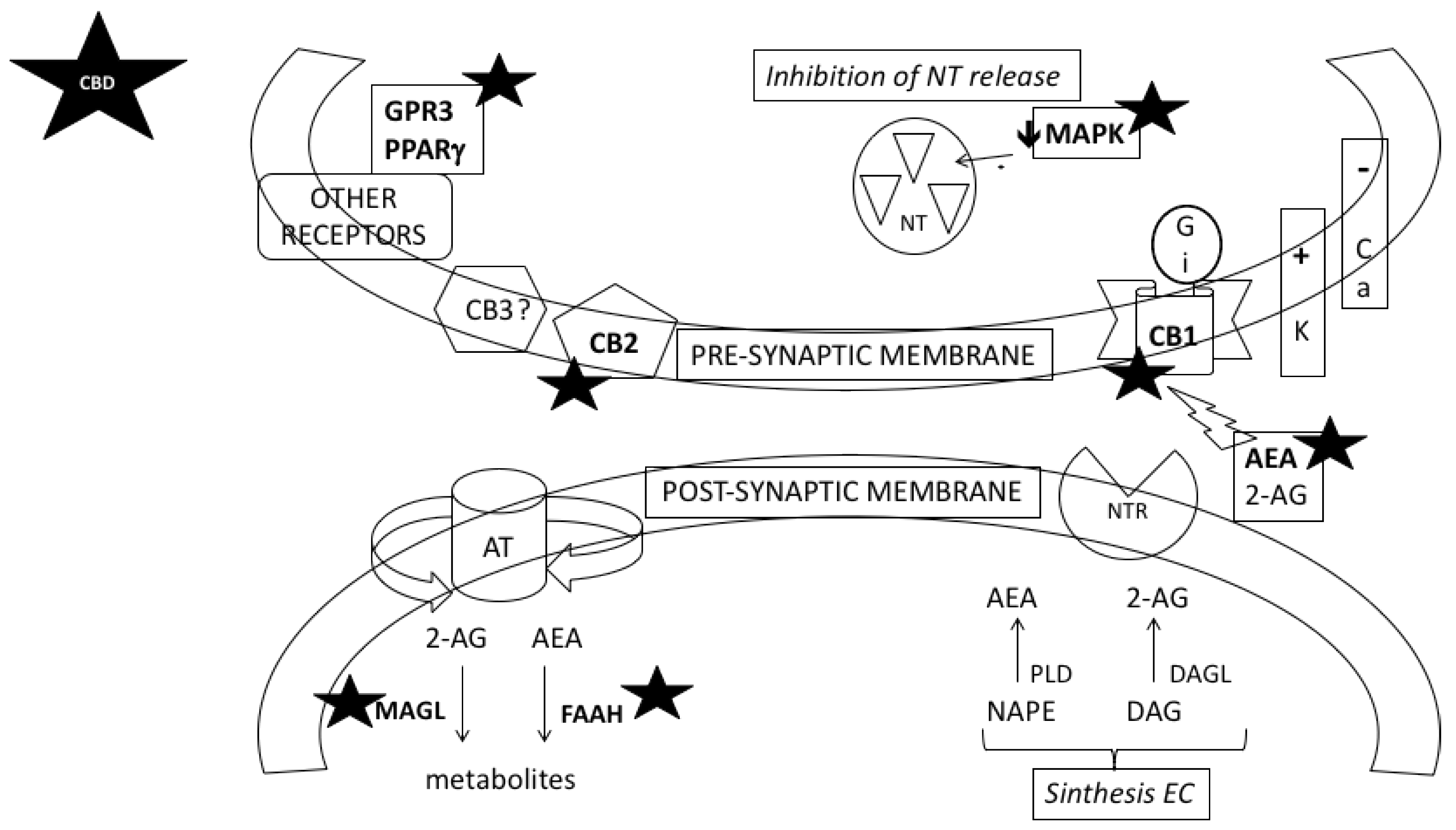 Molecules 24 02583 g001