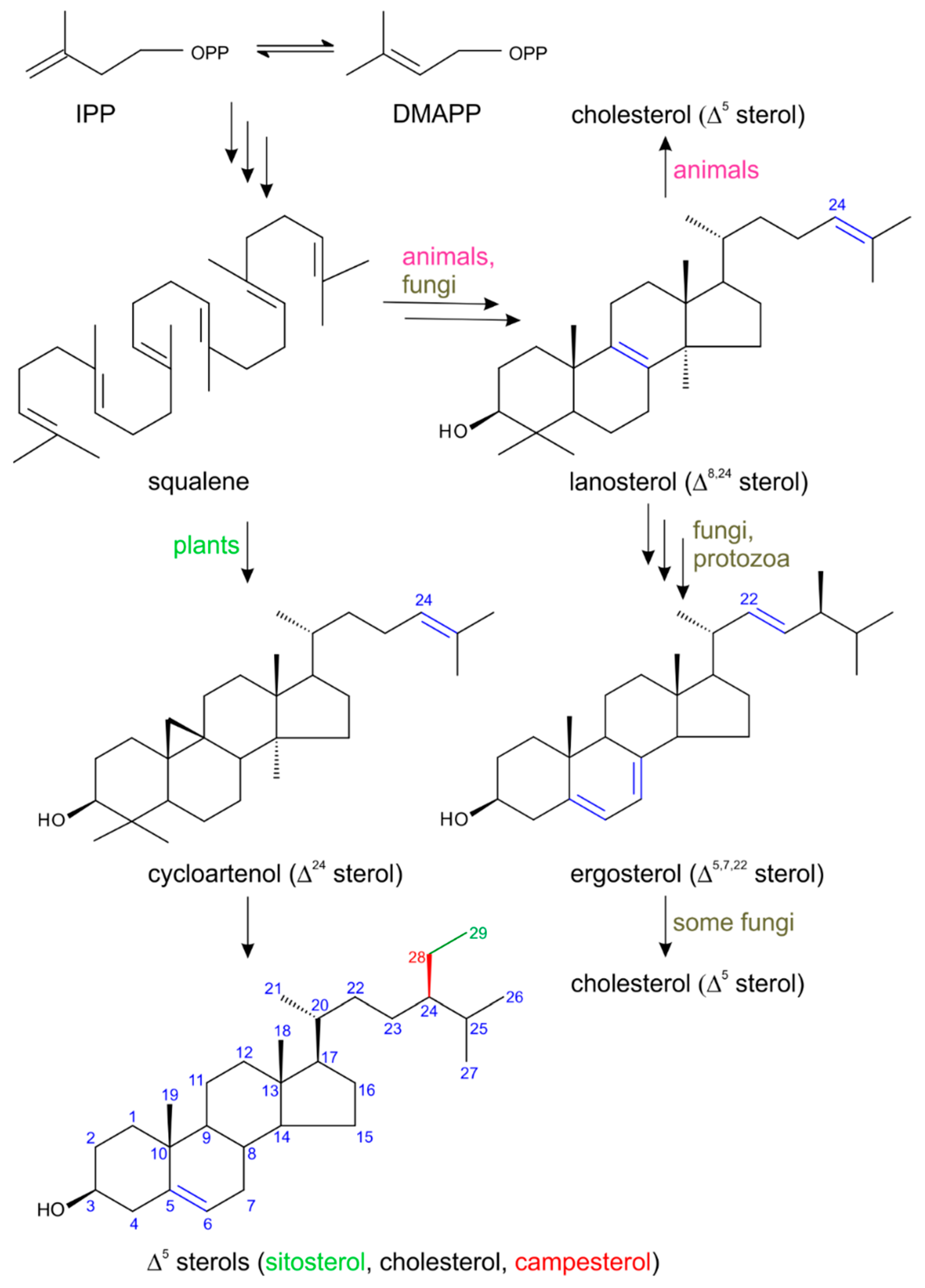 Molecules 24 02585 g001 550