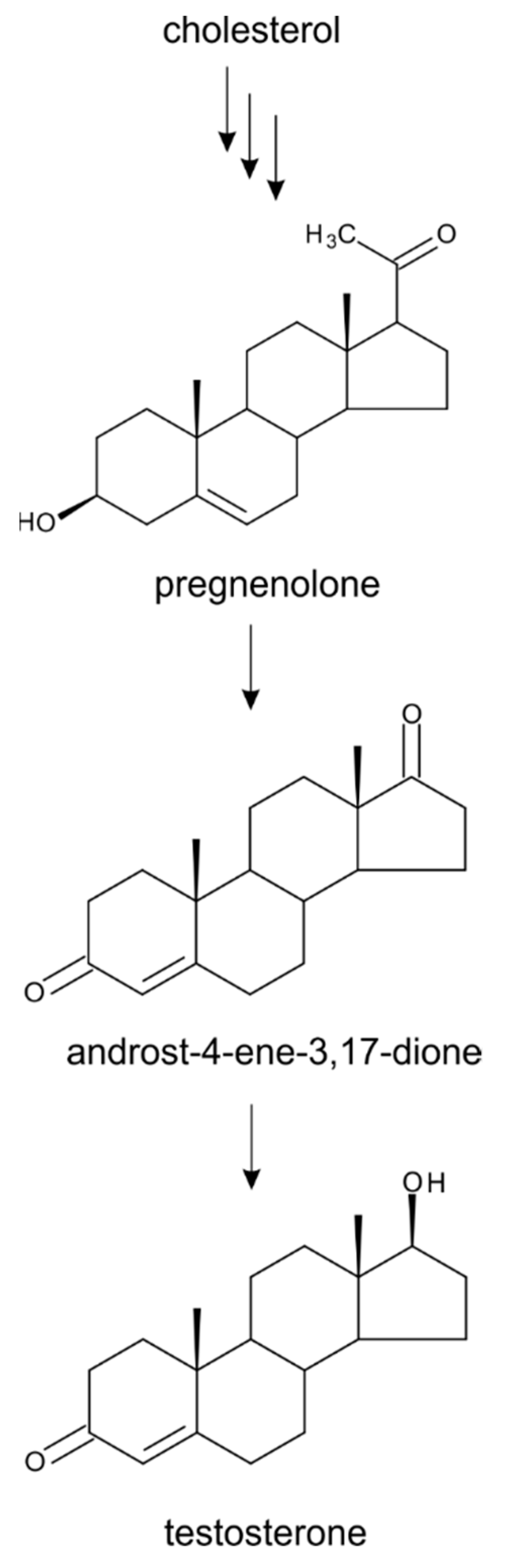 Molecules 24 02585 g004