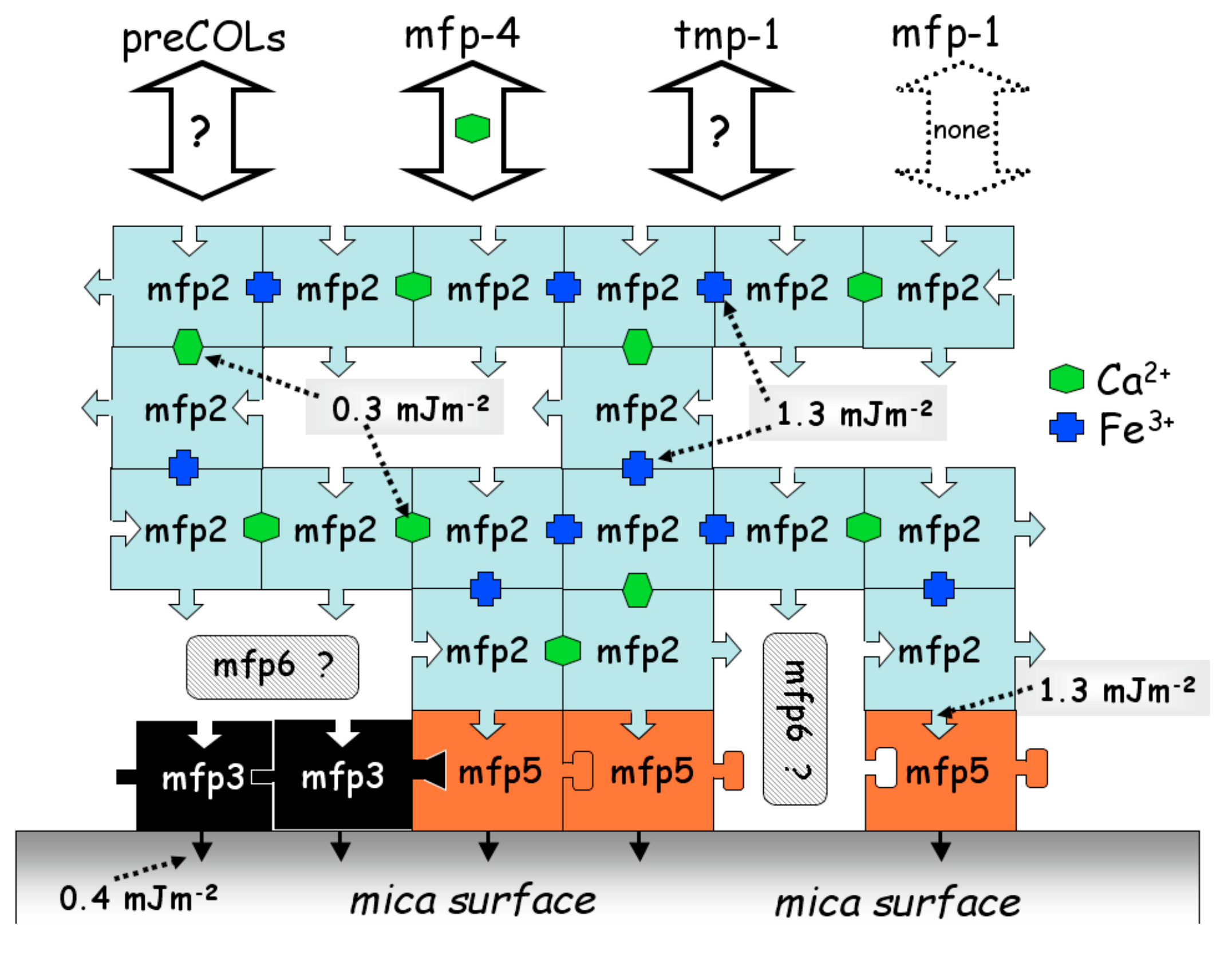 Molecules 24 02586 g002