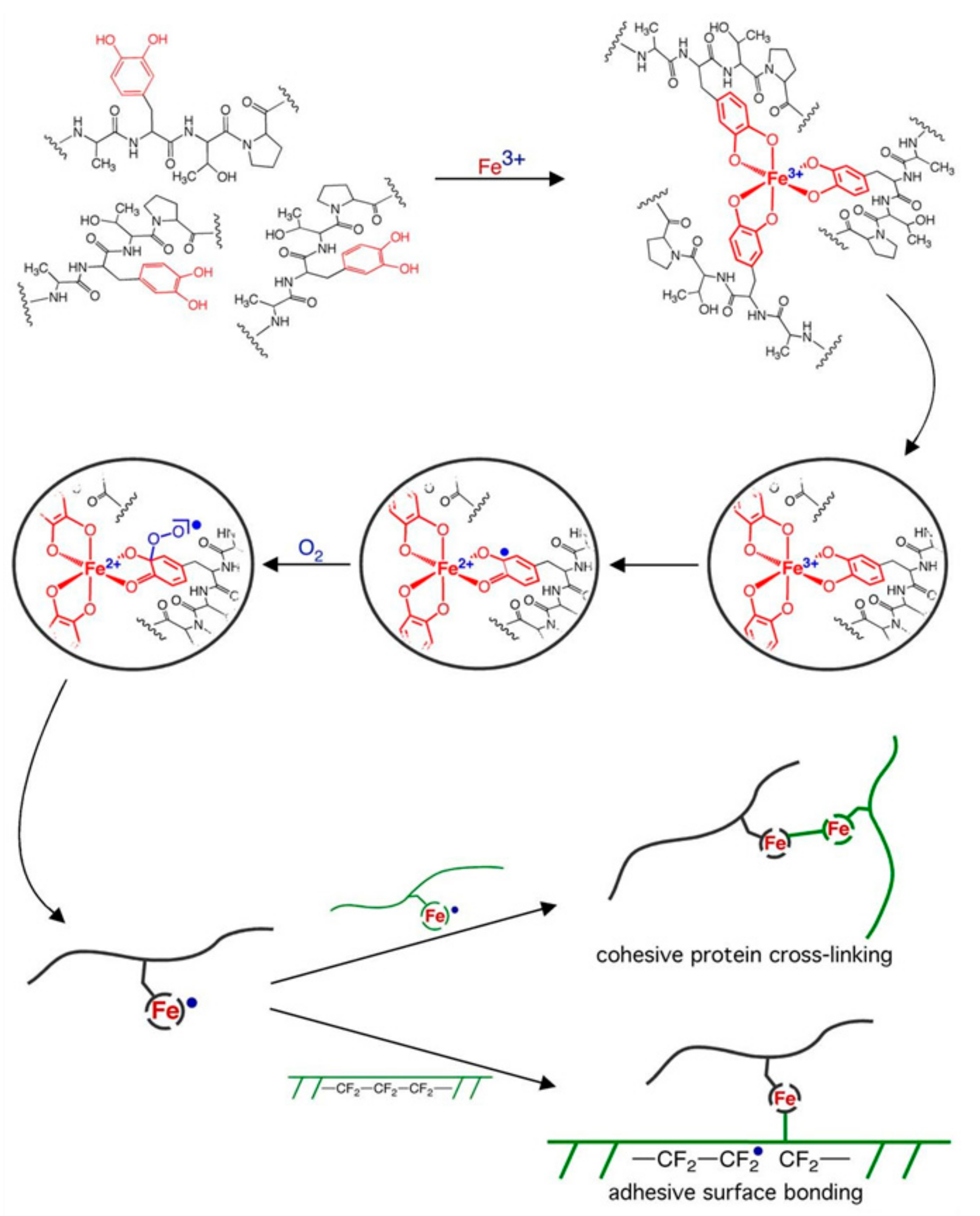 Molecules 24 02586 g003