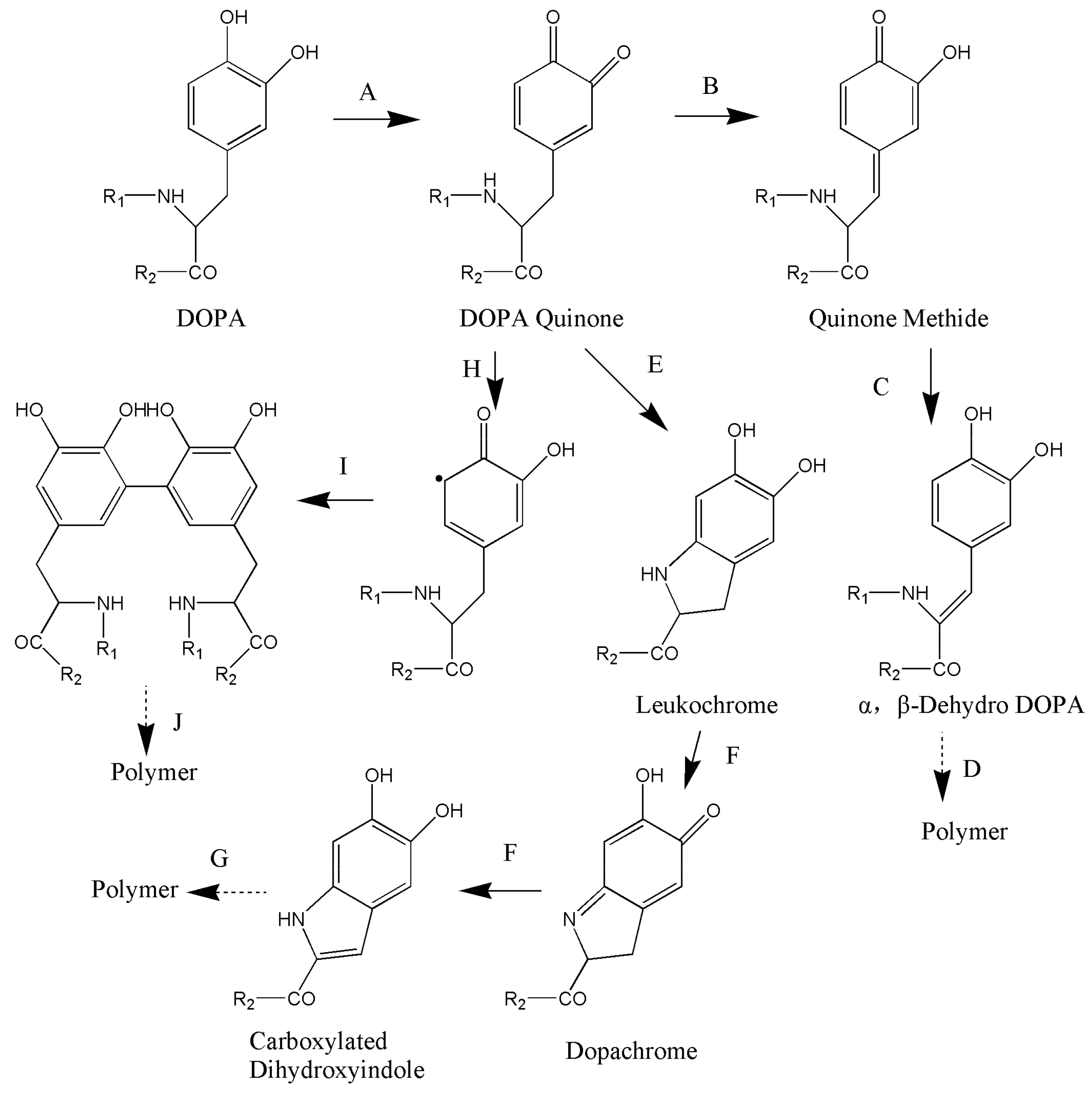 Molecules 24 02586 g004