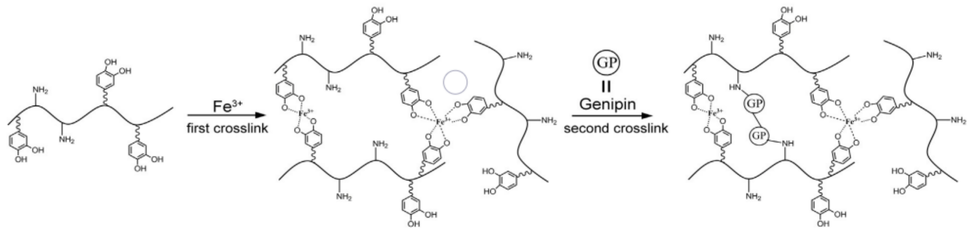 Molecules 24 02586 g006