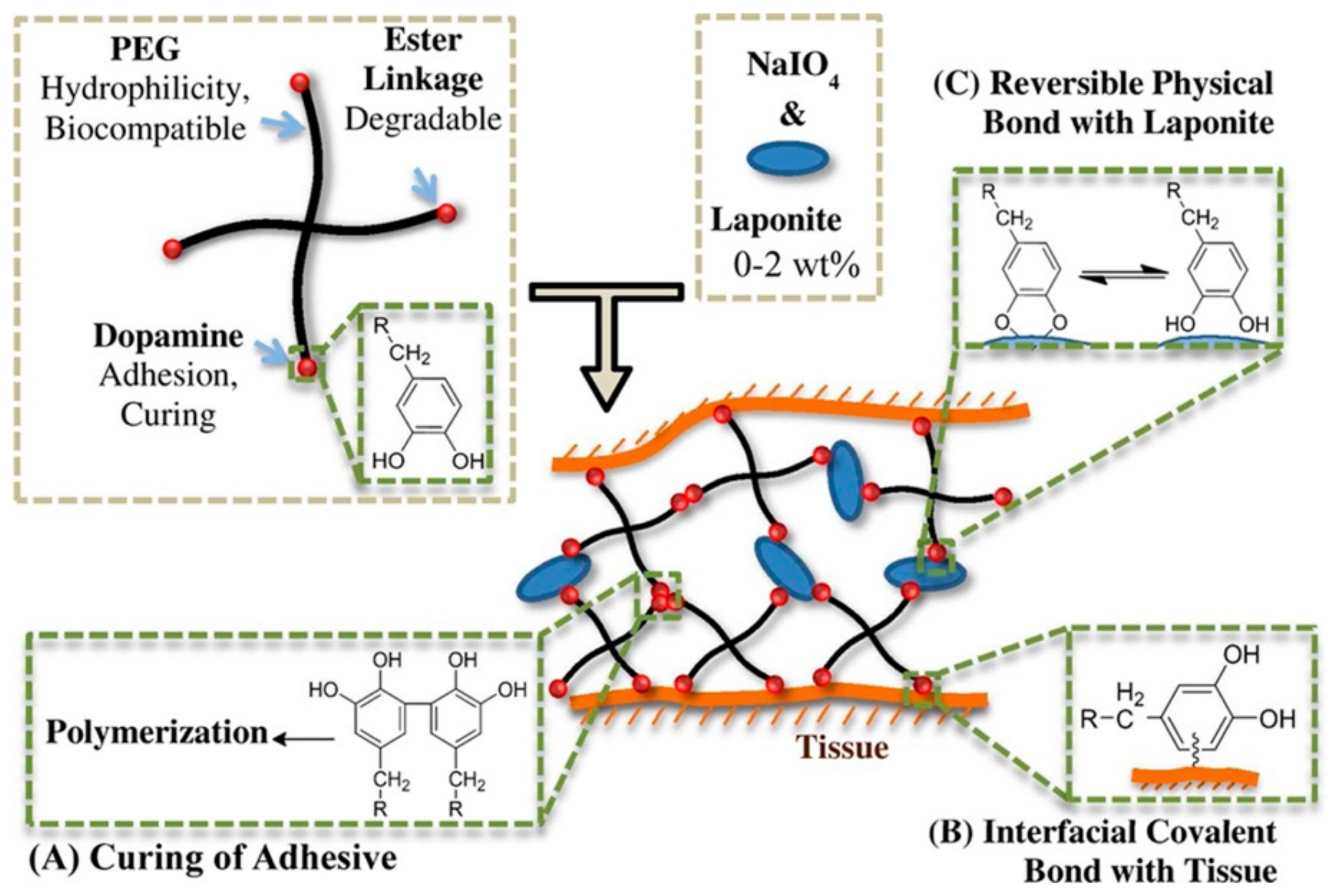 Molecules 24 02586 g008