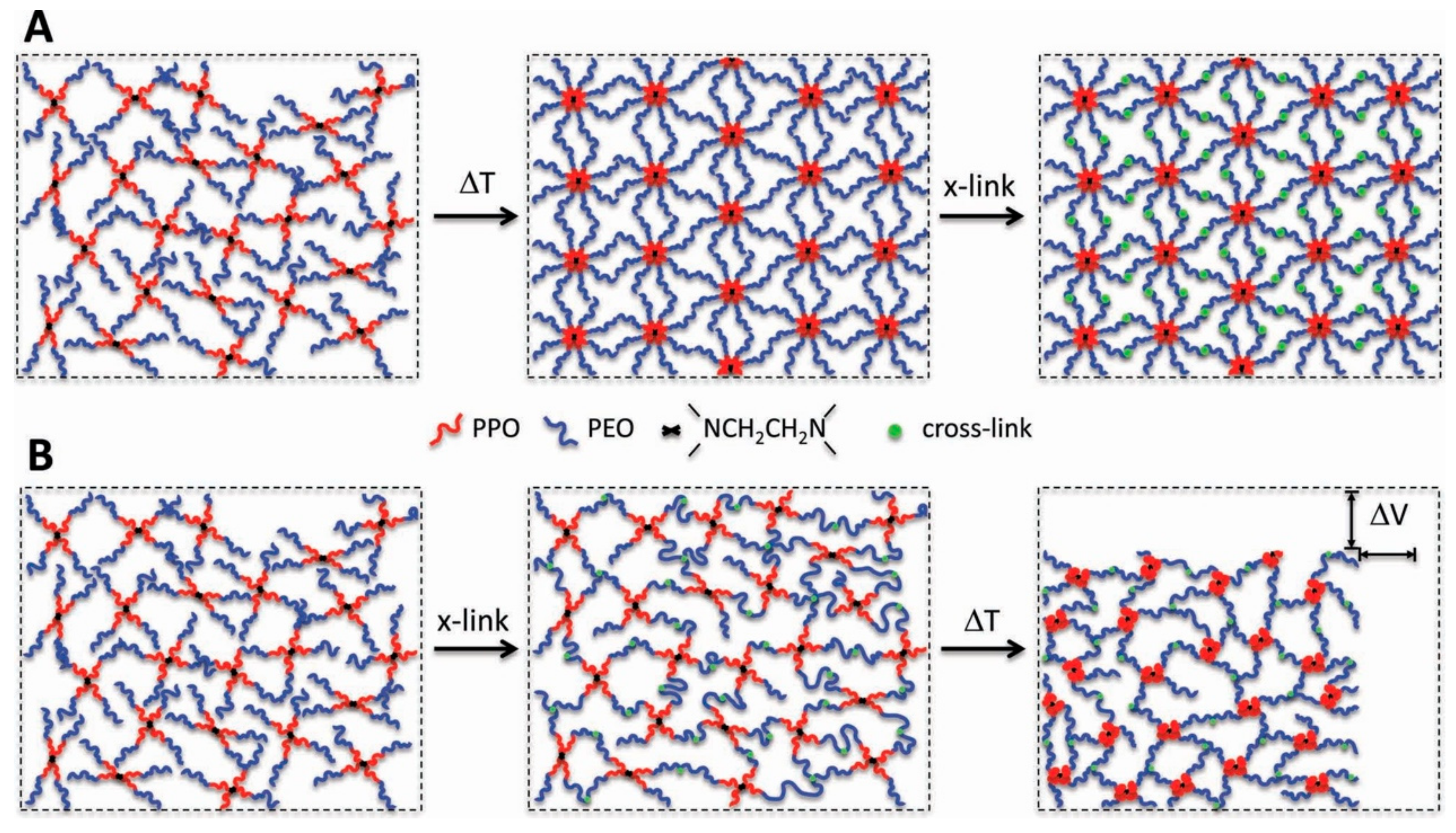 Molecules 24 02586 g009