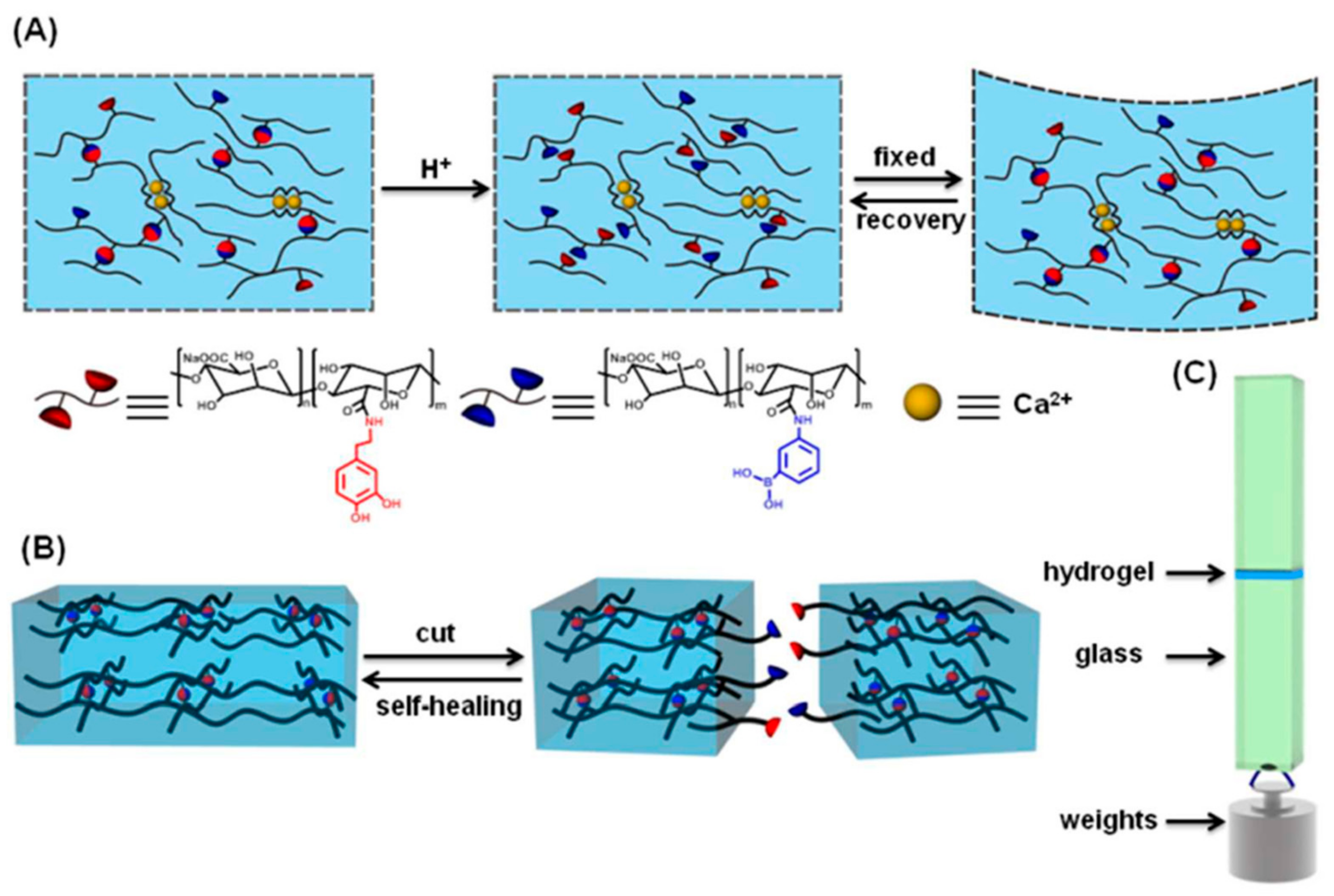 Molecules 24 02586 g010