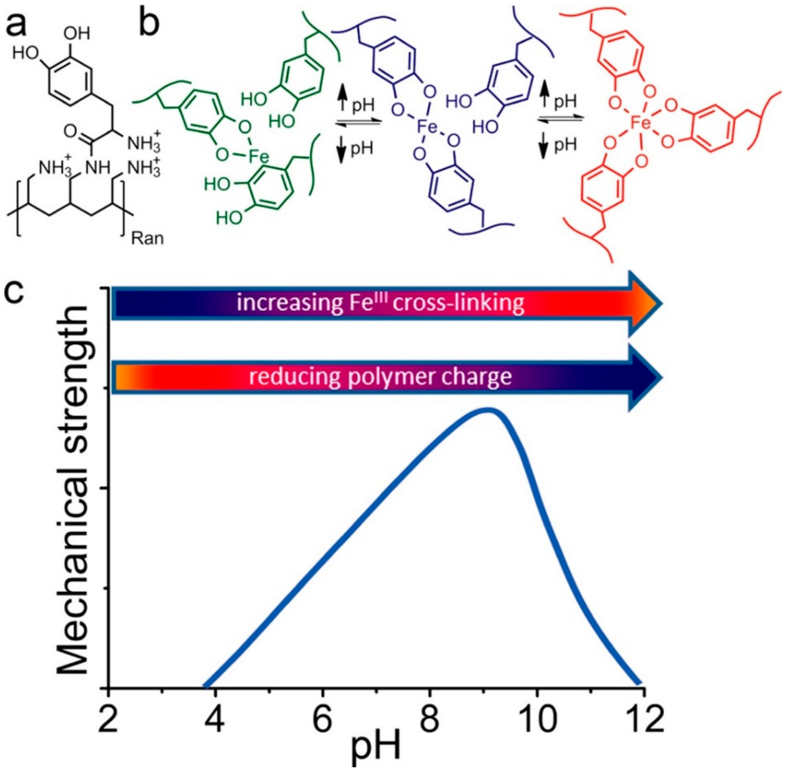 Molecules 24 02586 g011