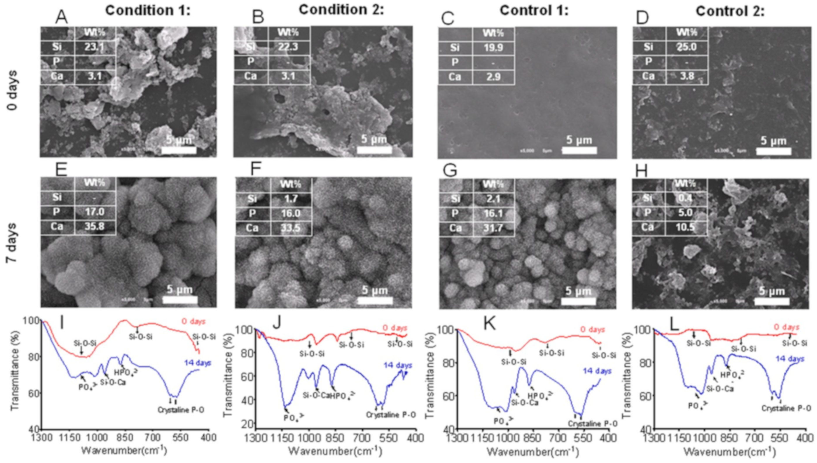 Molecules 24 02586 g014