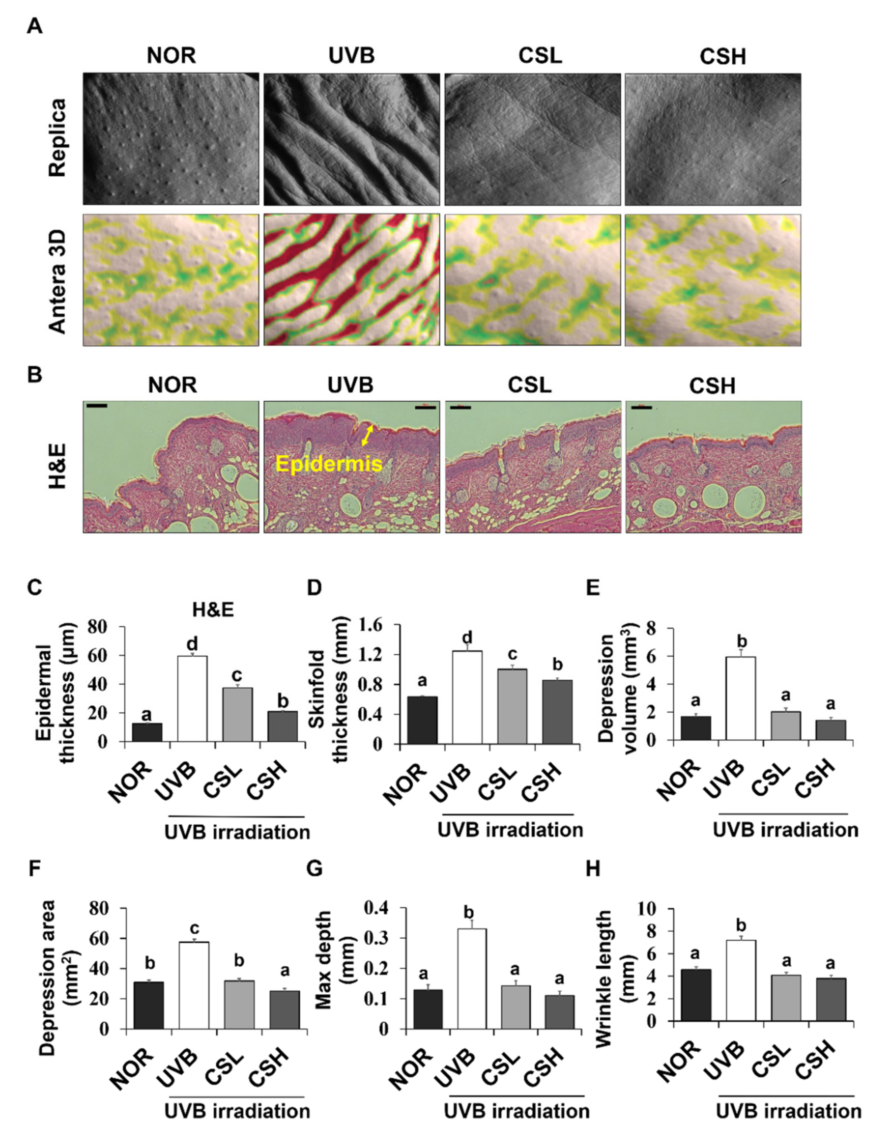 Molecules 24 02587 g002 Molecules 24 02587 g002