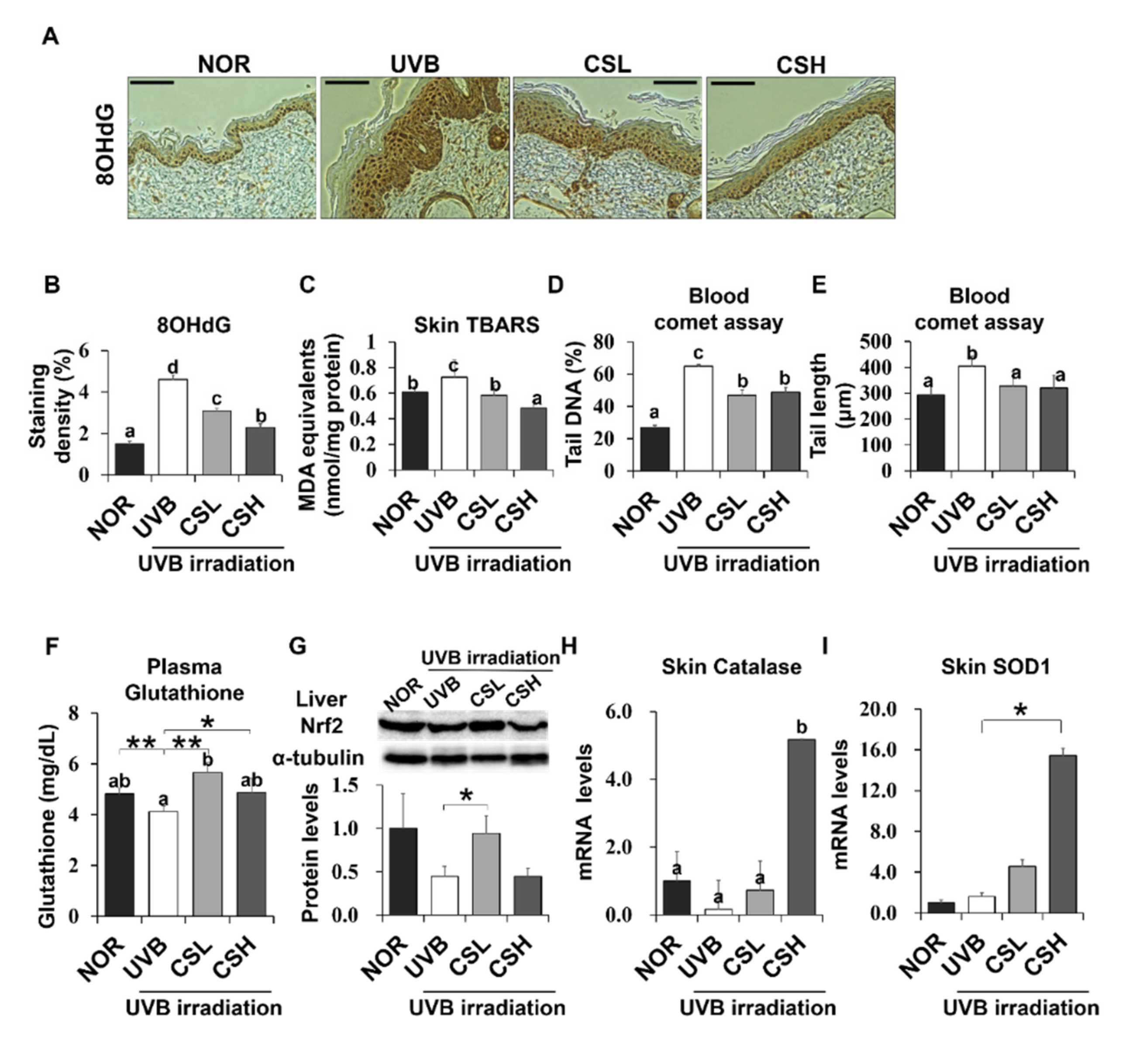 Molecules 24 02587 g005 Molecules 24 02587 g005