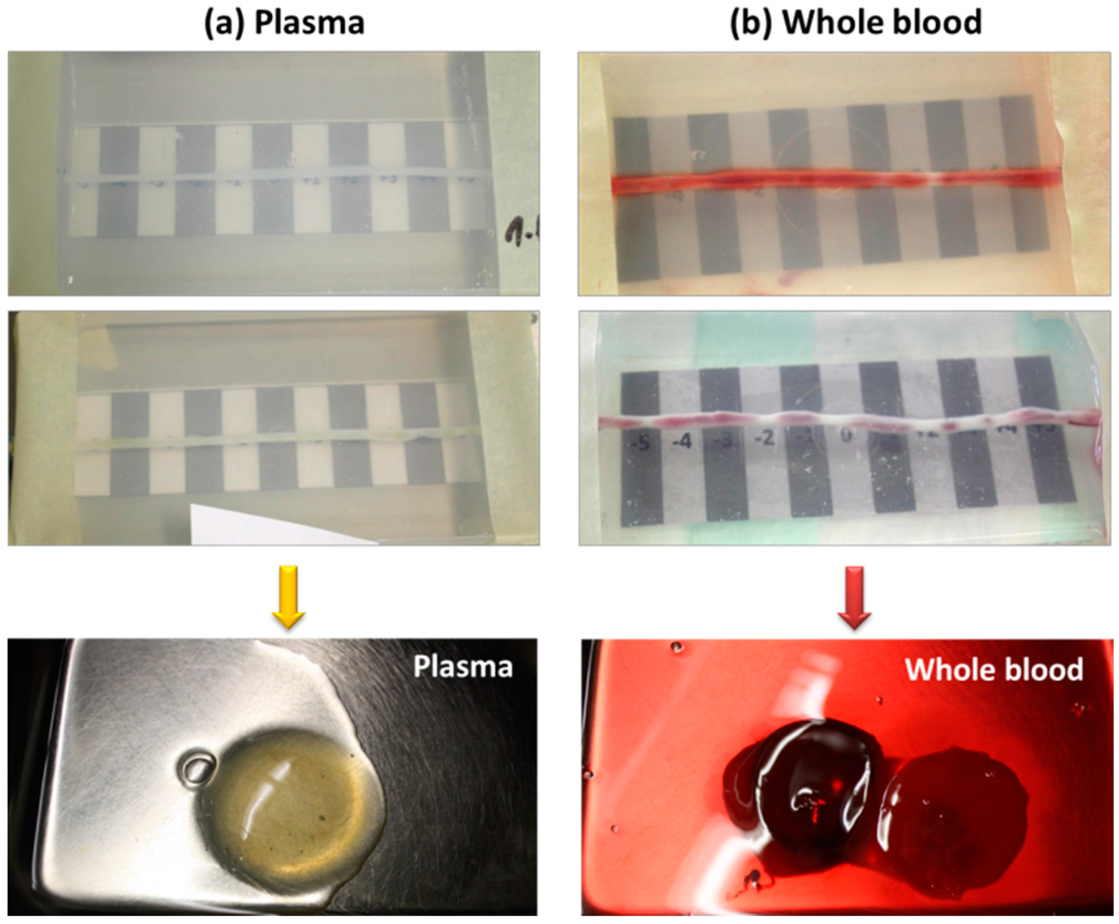 Molecules 24 02588 g004 Molecules 24 02588 g004