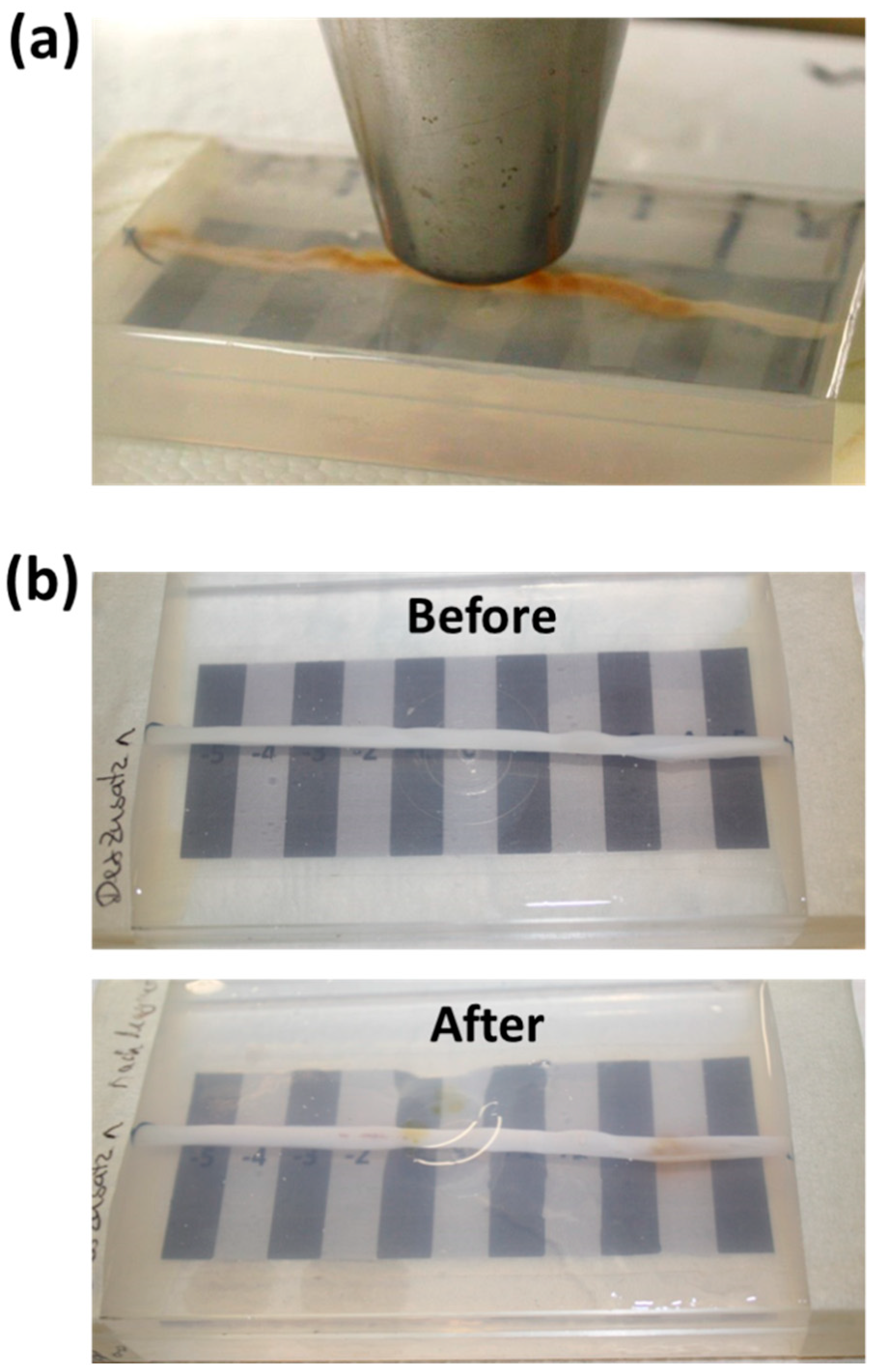 Molecules 24 02588 g0a1 Molecules 24 02588 g0a1