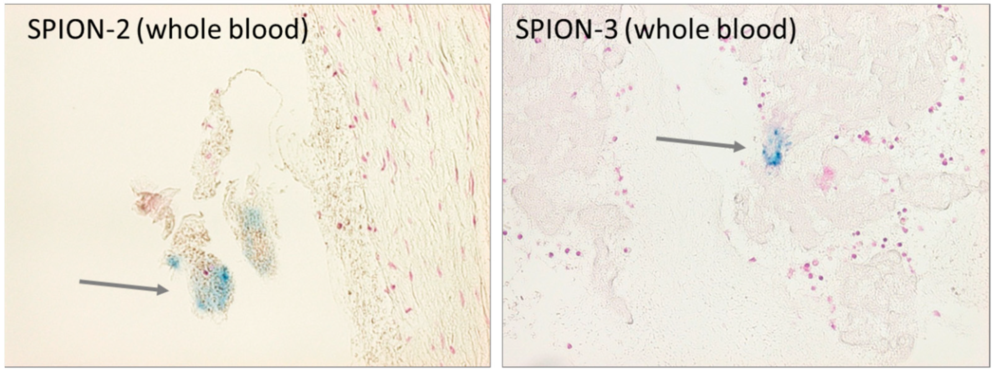 Molecules 24 02588 g0a3 Molecules 24 02588 g0a3