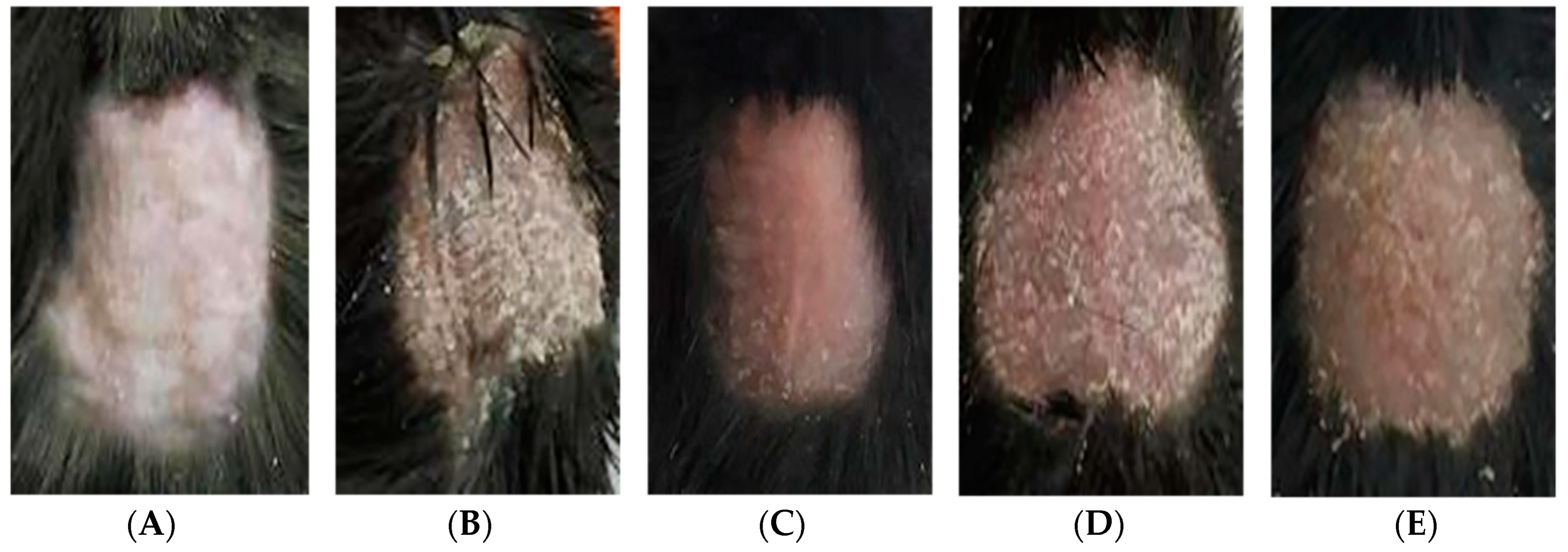 Molecules 24 02596 g001