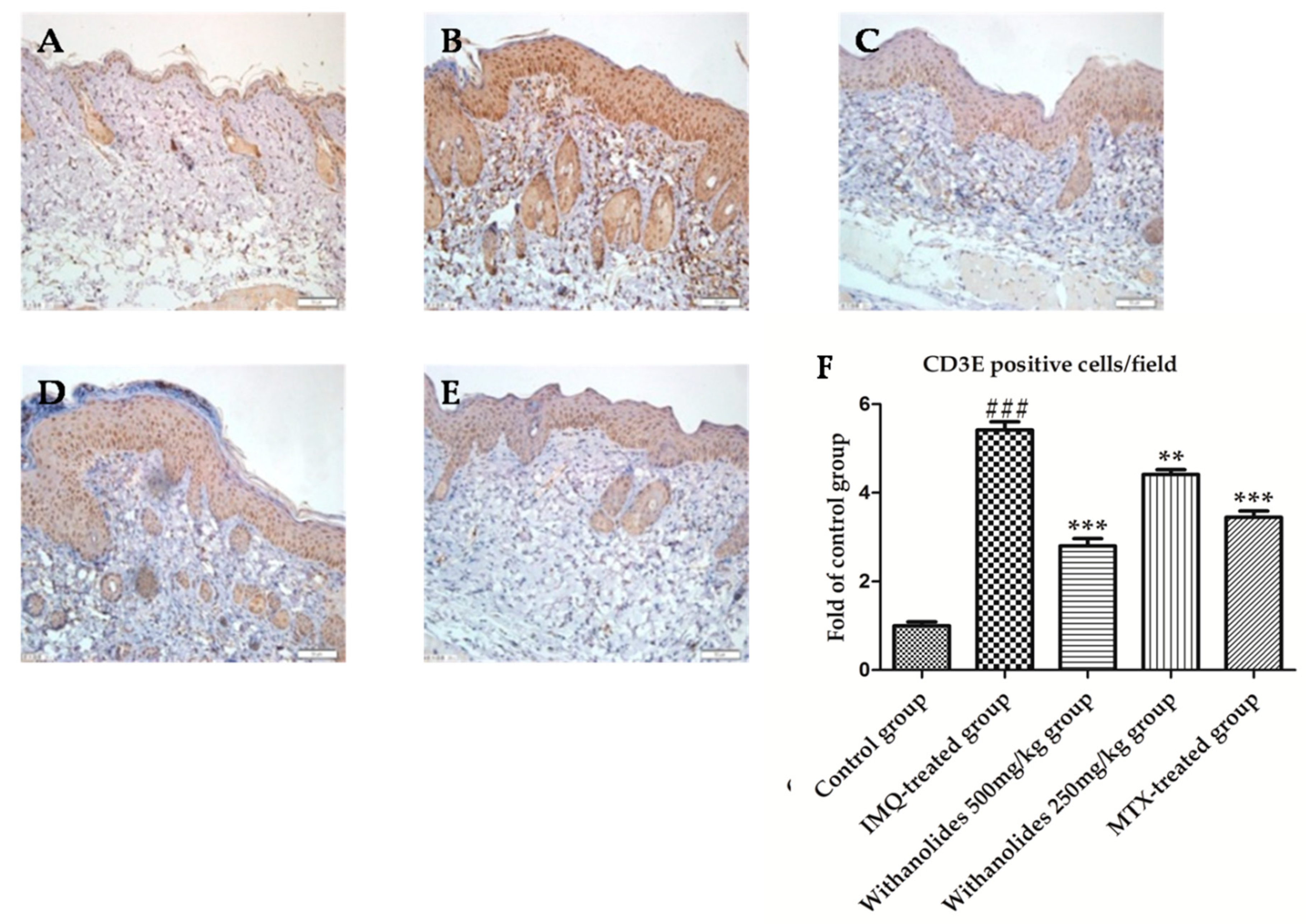 Molecules 24 02596 g006