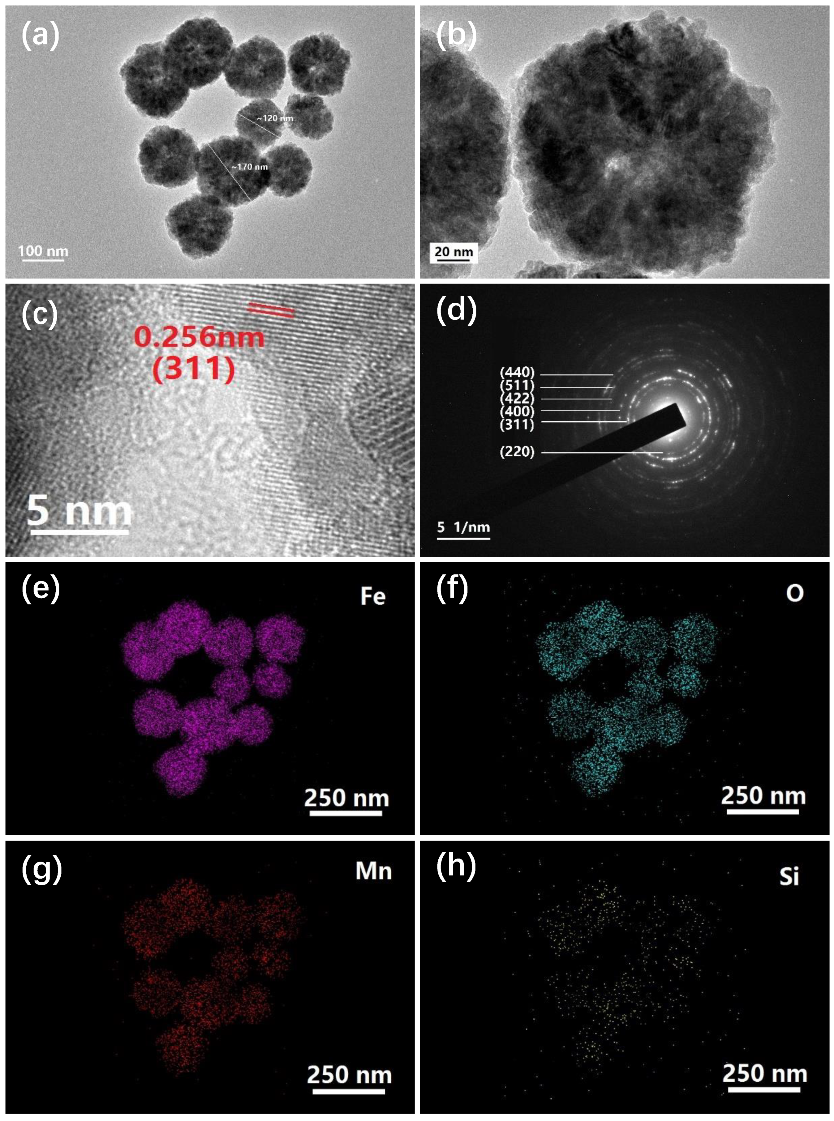 Molecules 24 02605 g003 Molecules 24 02605 g003