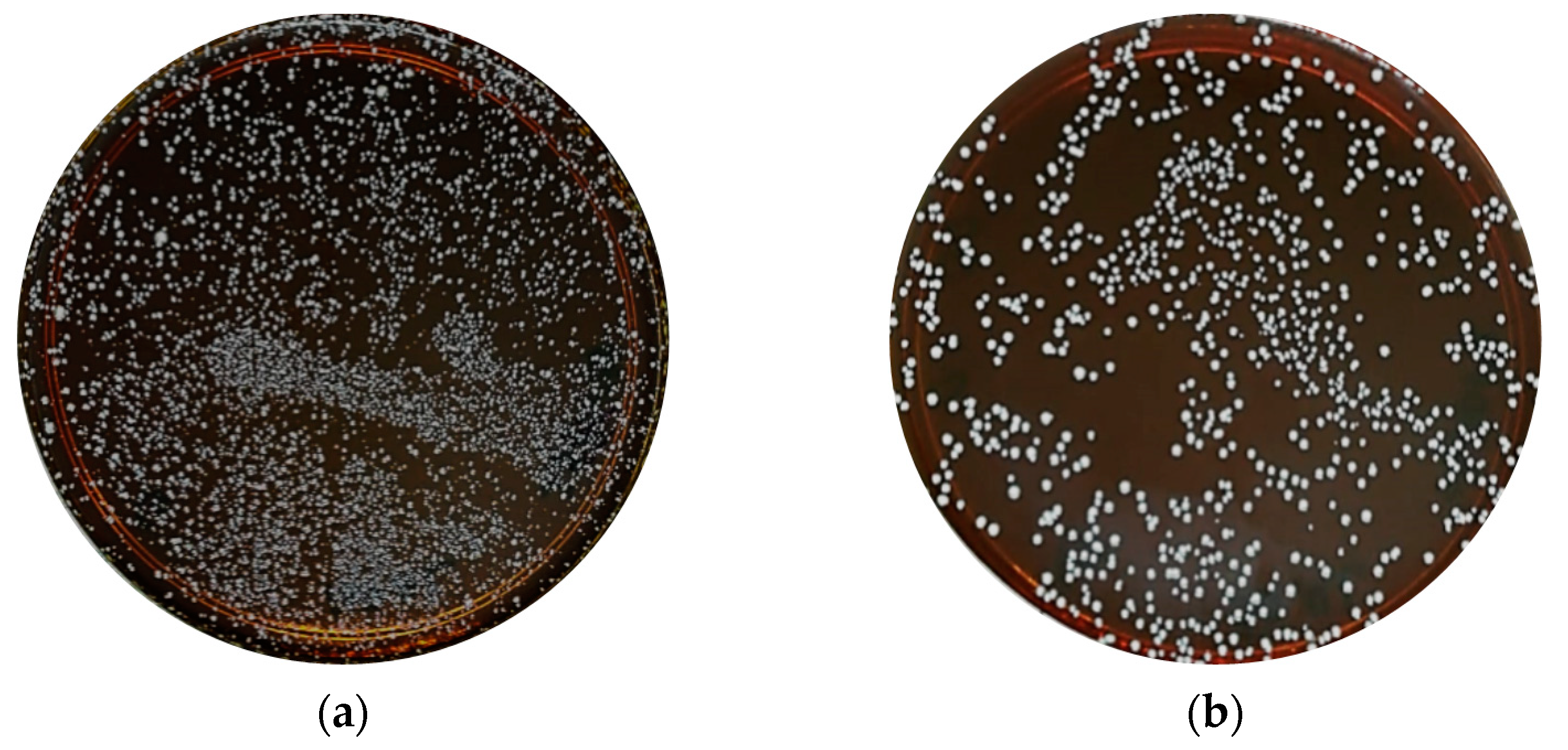 Molecules 24 02606 g001