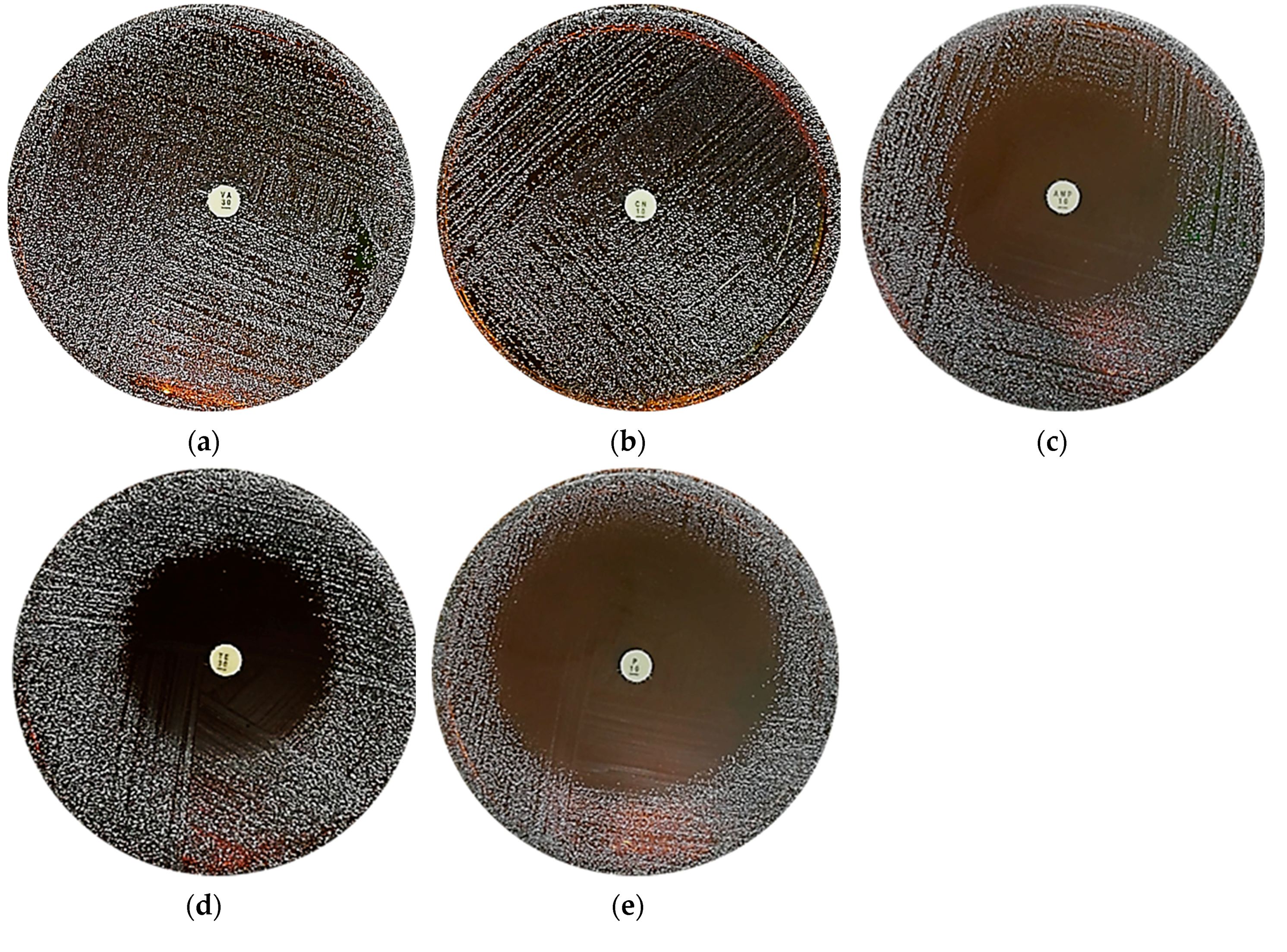 Molecules 24 02606 g008