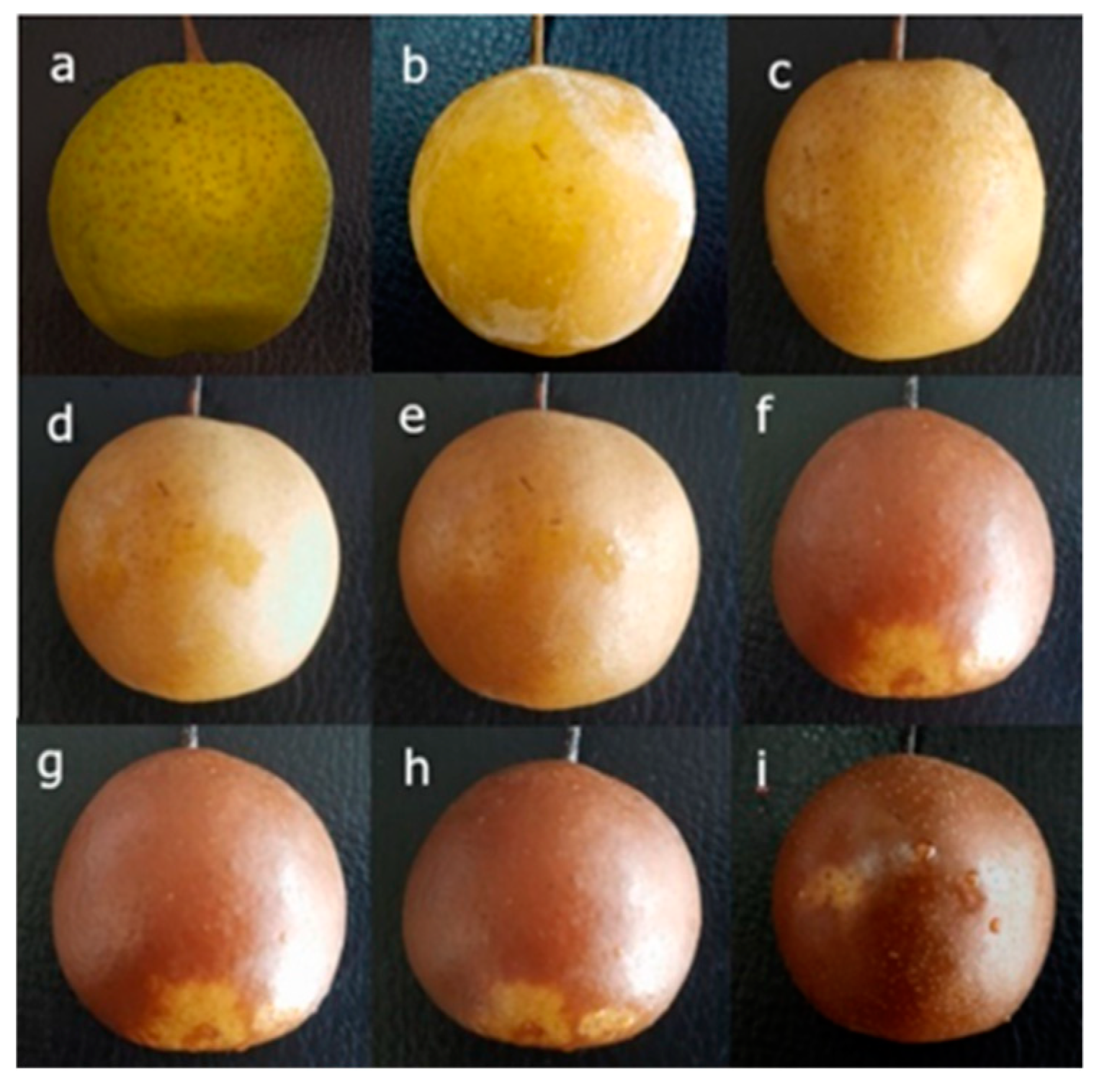 Molecules 24 02611 g002