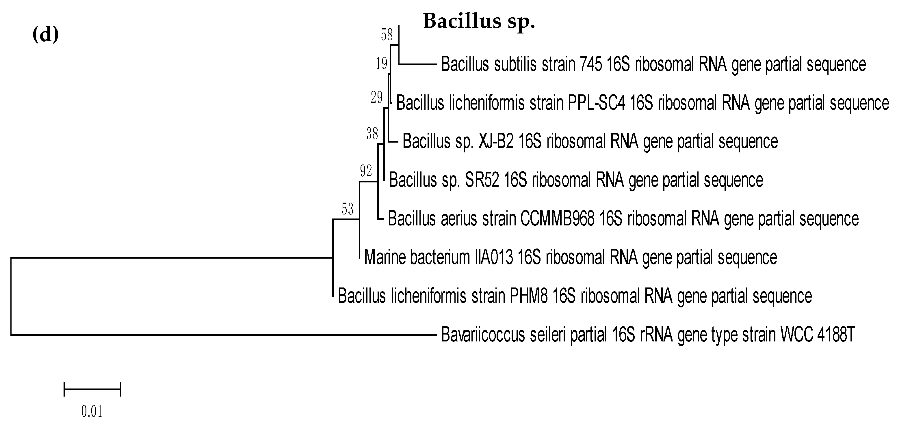 Molecules 24 02617 g001b