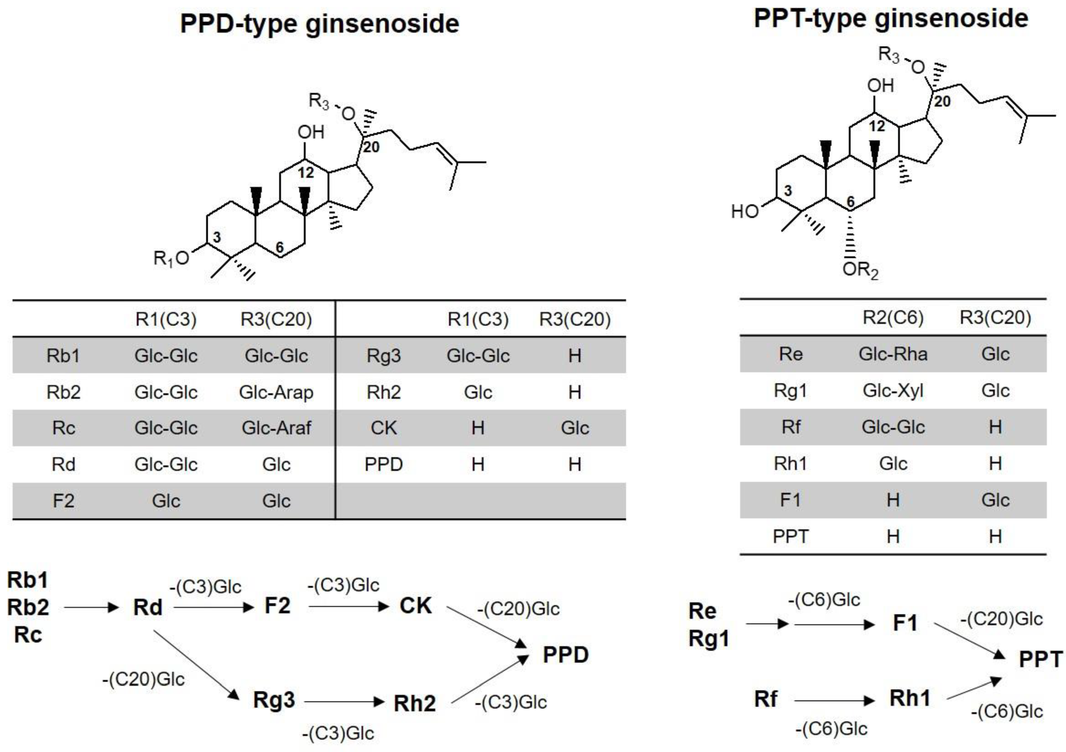Molecules 24 02618 g001