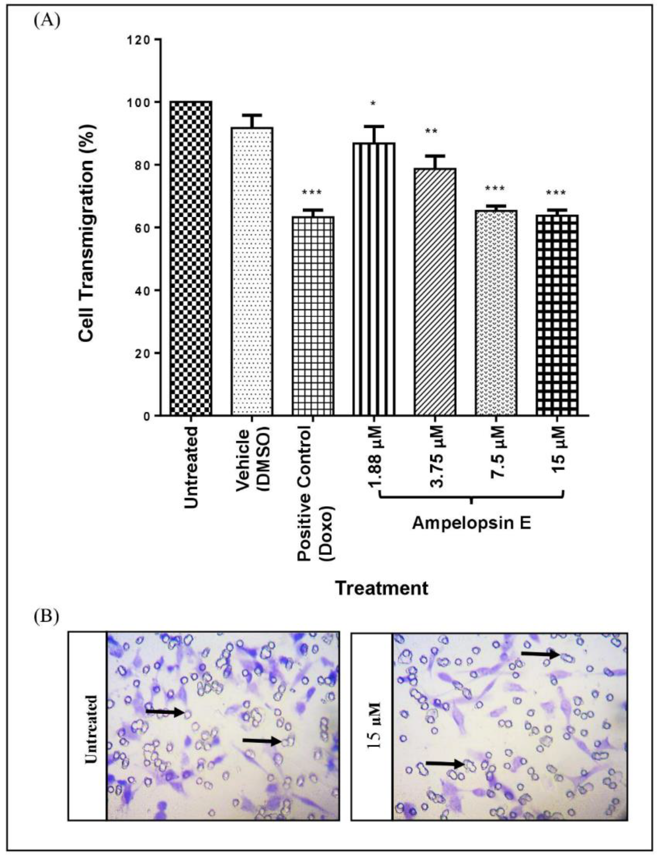 Molecules 24 02619 g006 Molecules 24 02619 g006