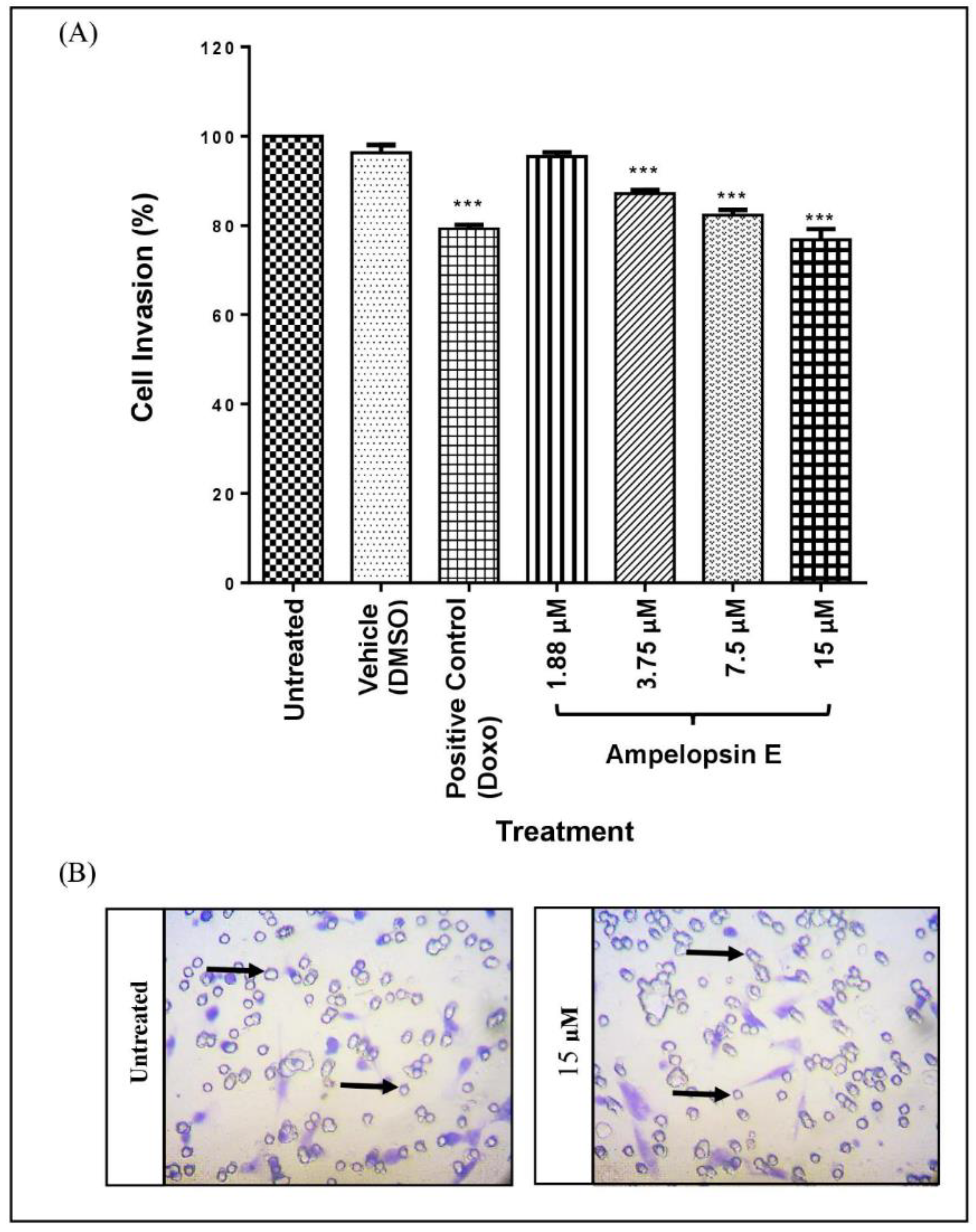 Molecules 24 02619 g007 Molecules 24 02619 g007