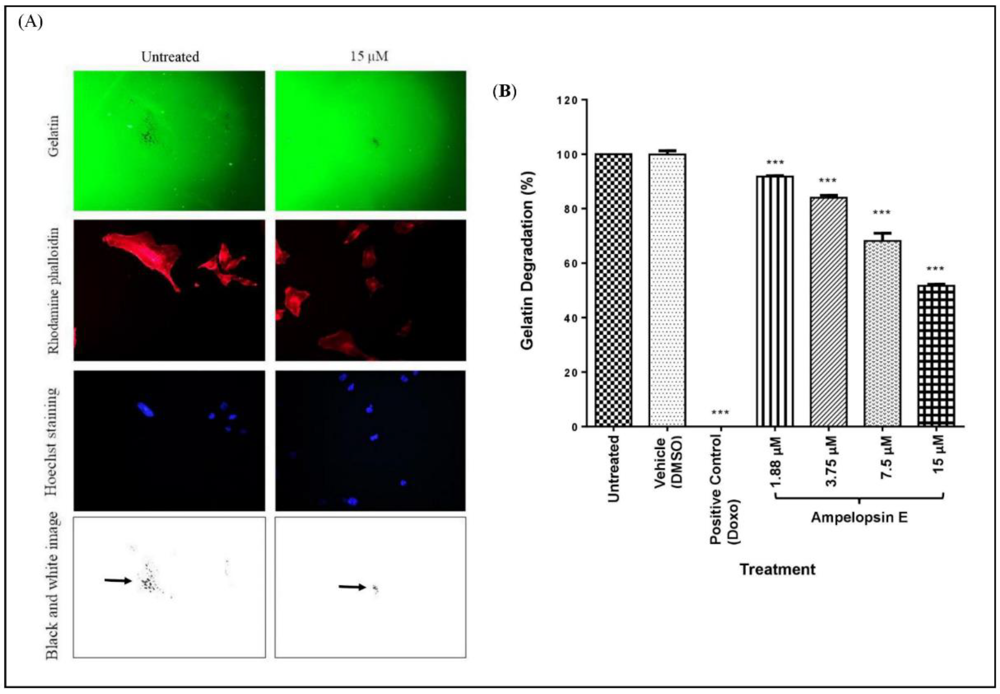Molecules 24 02619 g009 Molecules 24 02619 g009