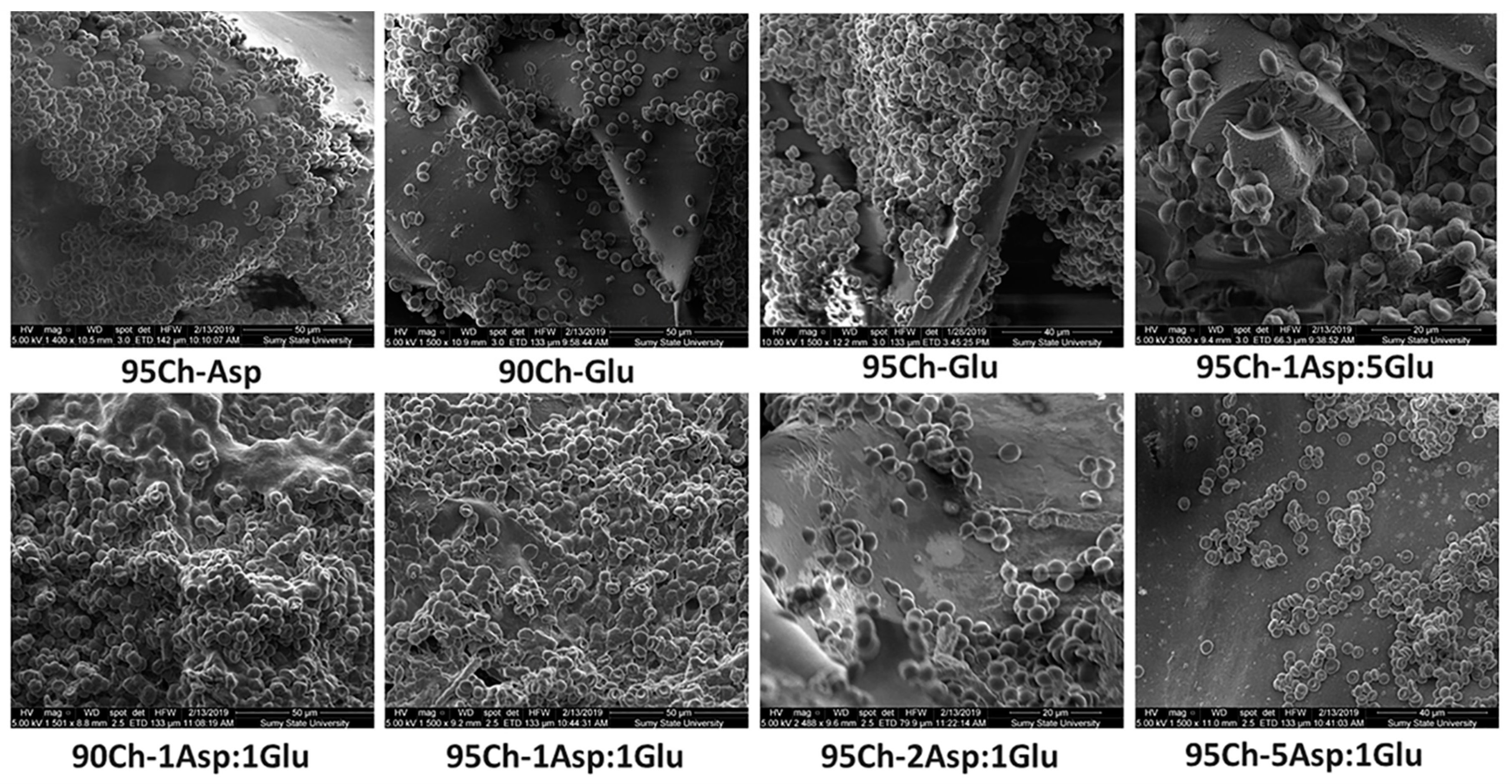Molecules 24 02629 g009 Molecules 24 02629 g009