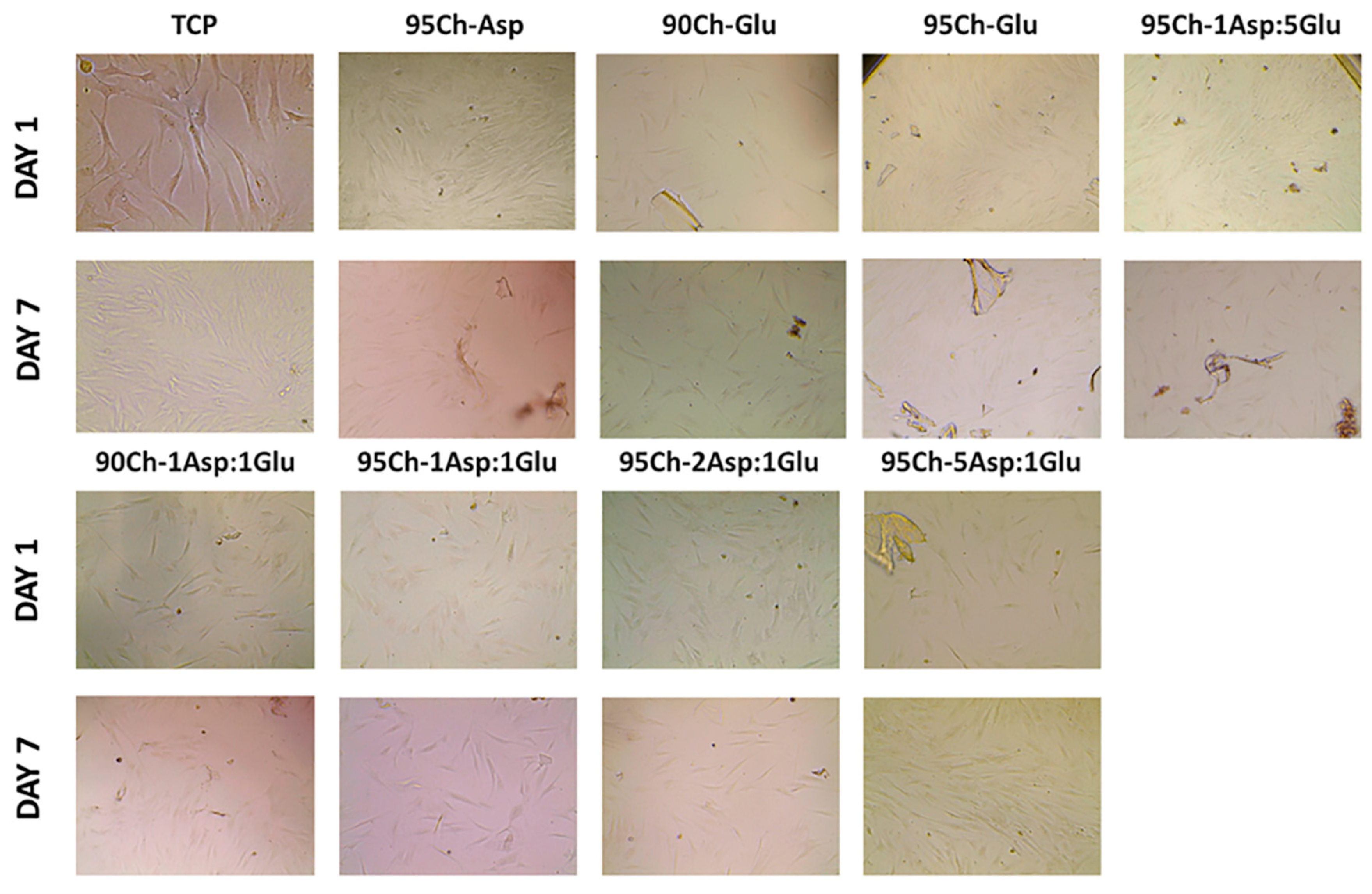 Molecules 24 02629 g010 Molecules 24 02629 g010