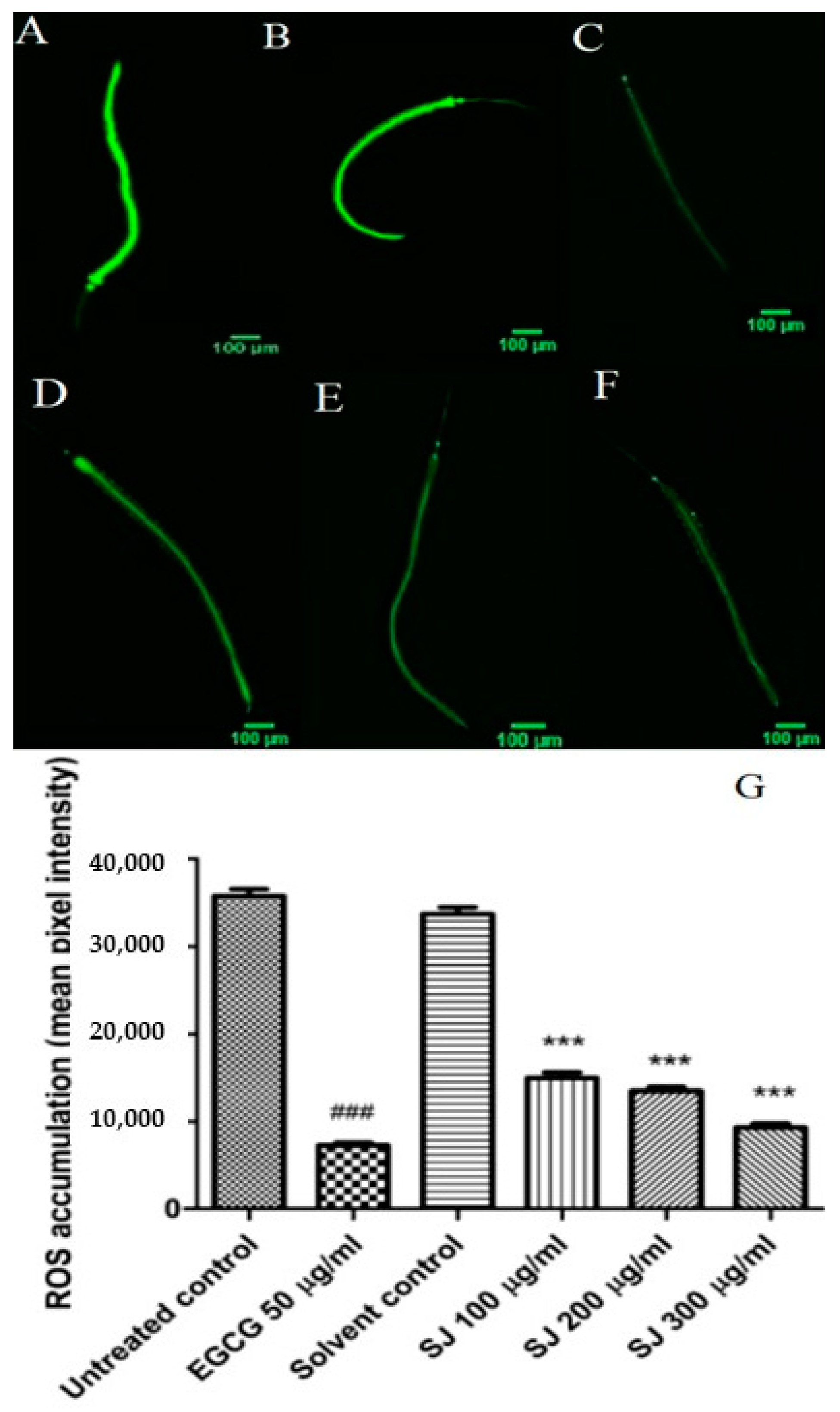 Molecules 24 02633 g003
