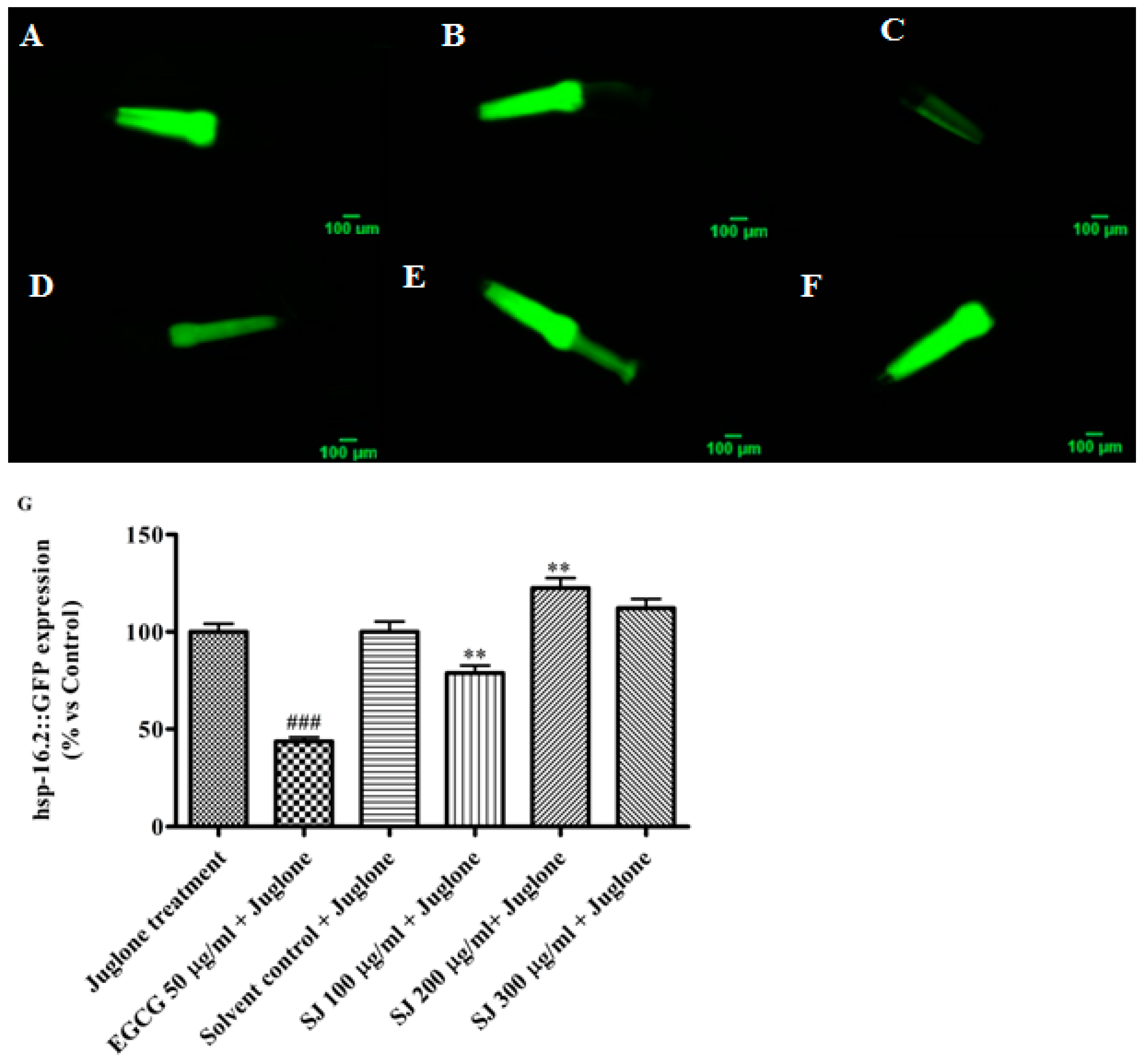 Molecules 24 02633 g004