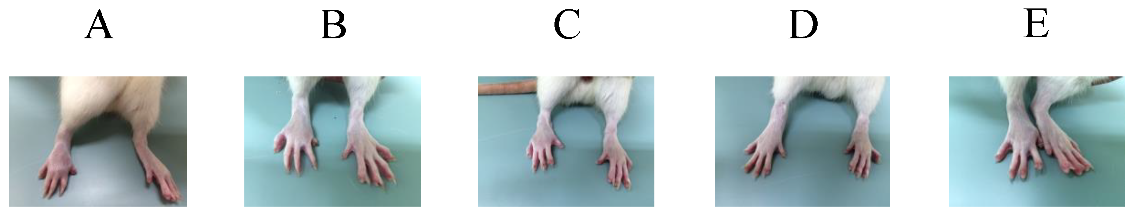 Molecules 24 02643 g004 550