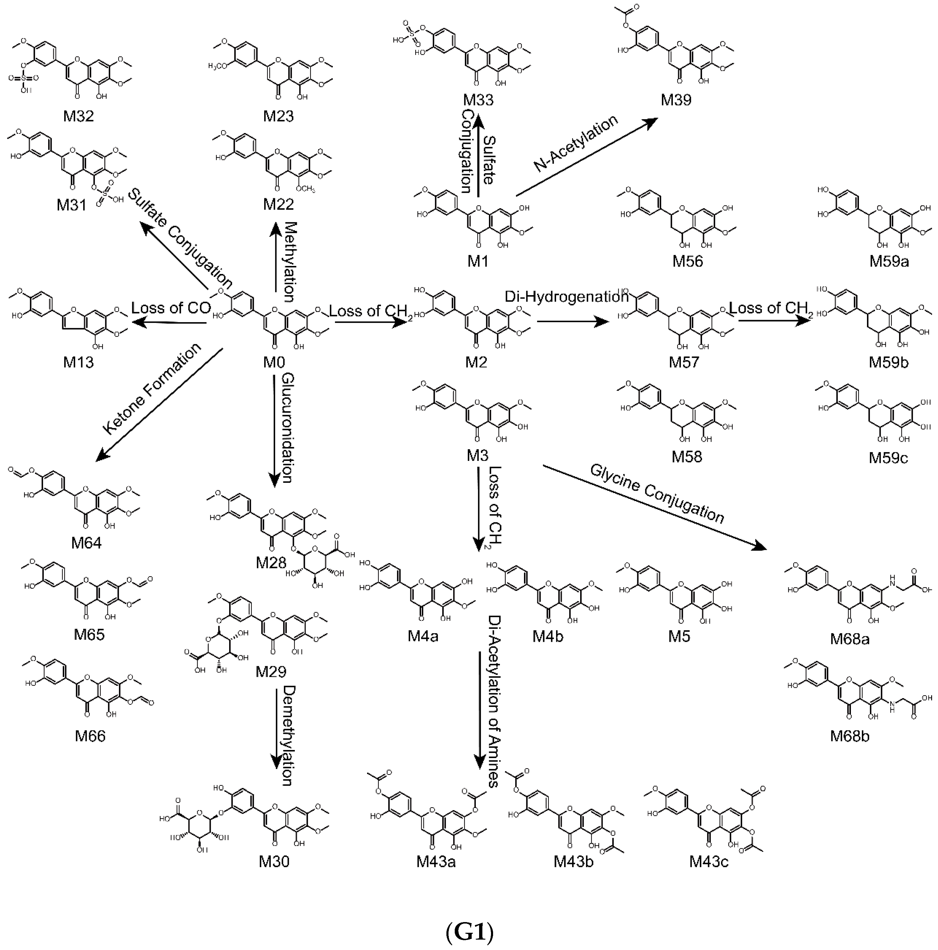 Molecules 24 02658 g004a Molecules 24 02658 g004a