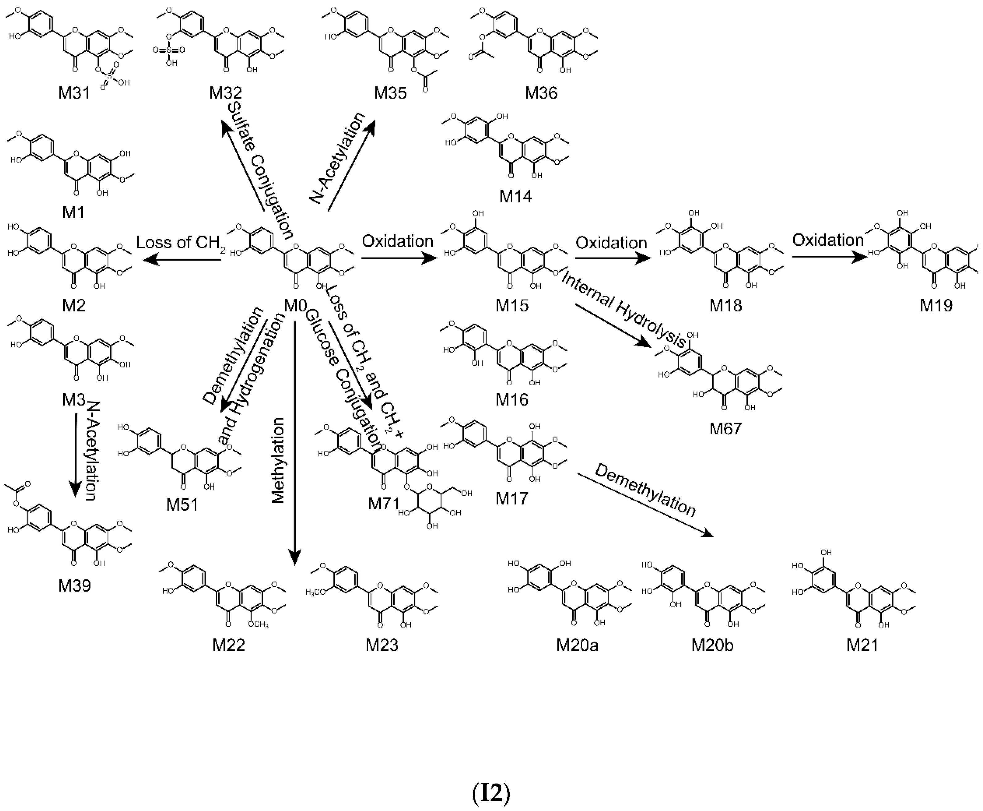 Molecules 24 02658 g004e Molecules 24 02658 g004e