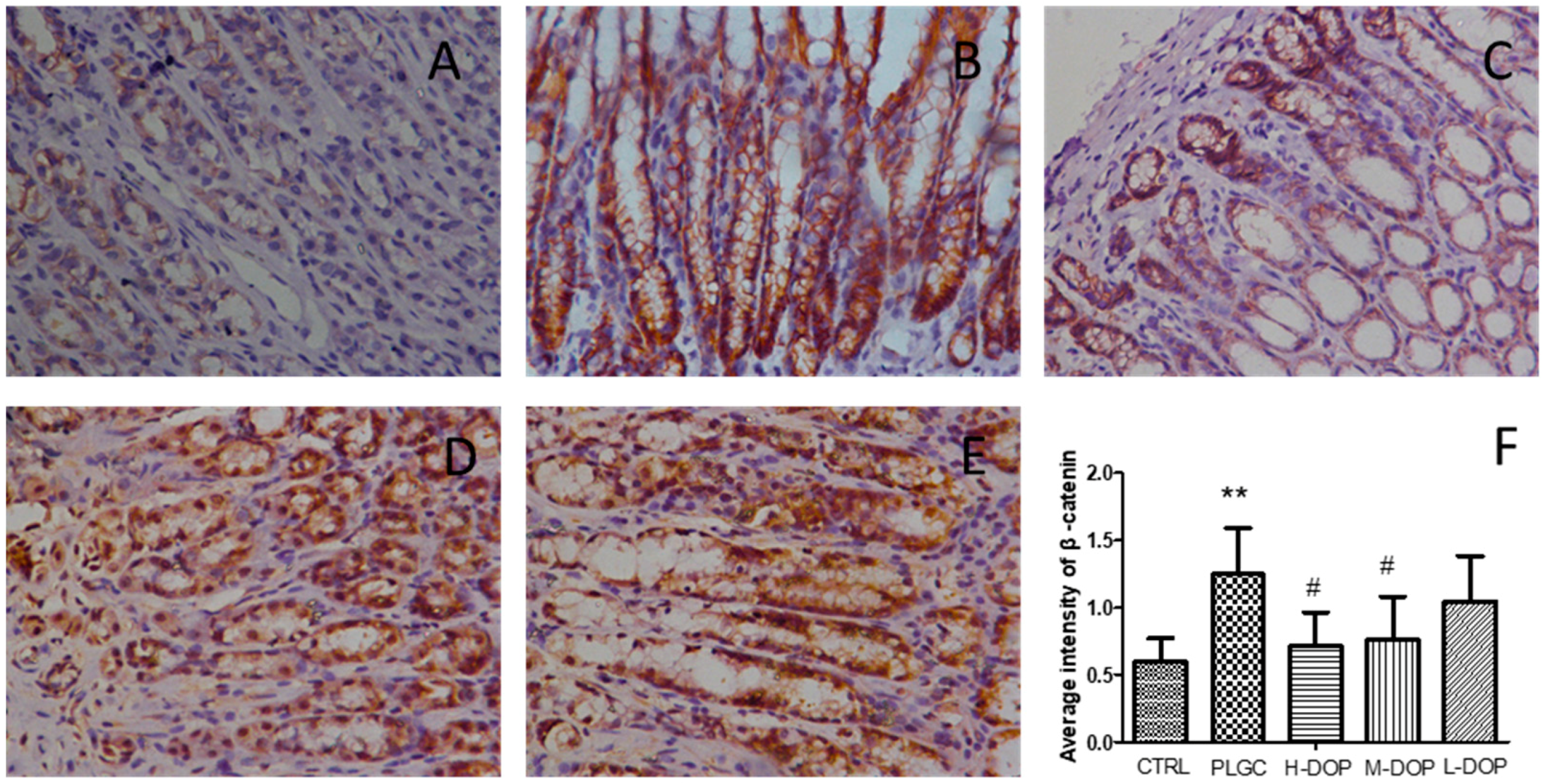 Molecules 24 02660 g001