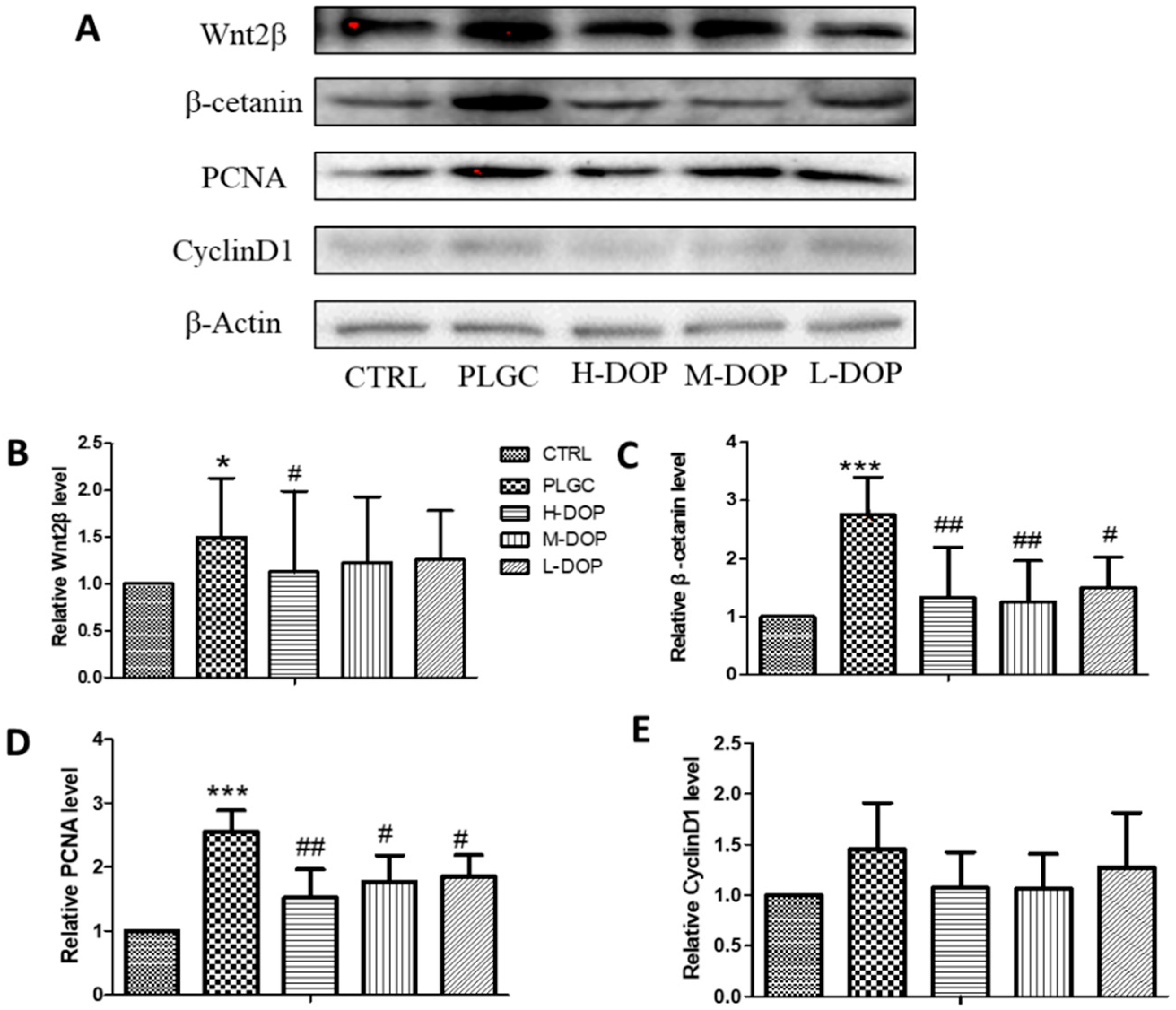 Molecules 24 02660 g003
