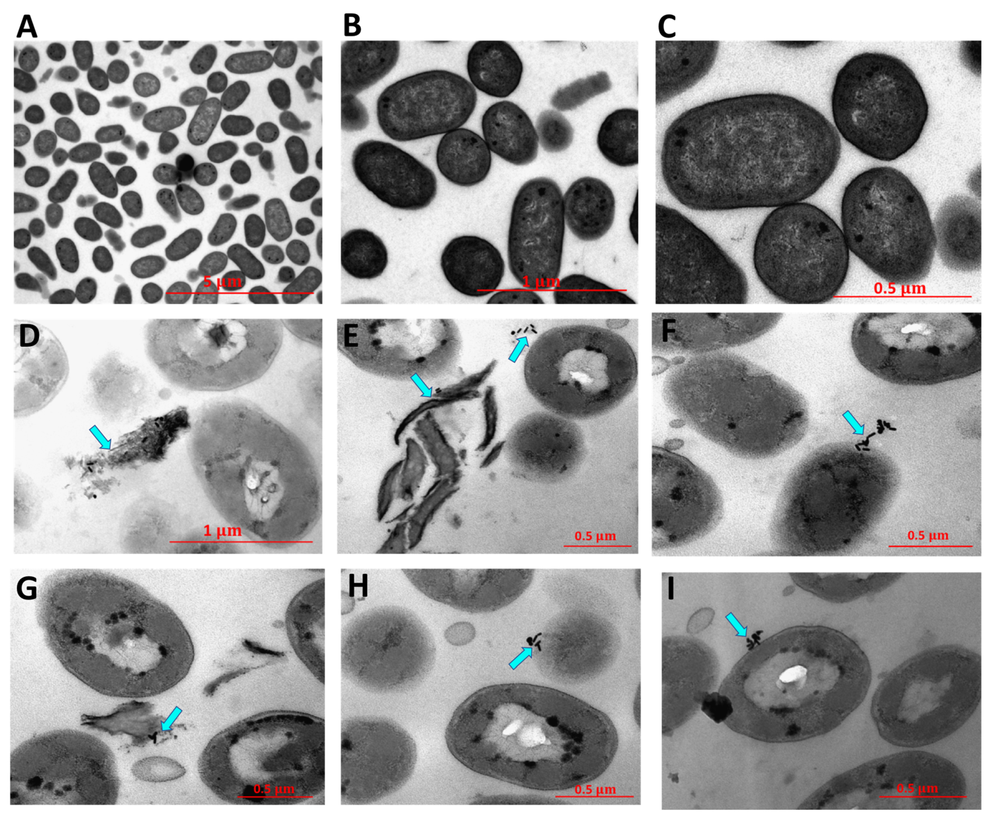 Molecules 24 02661 g010 Molecules 24 02661 g010