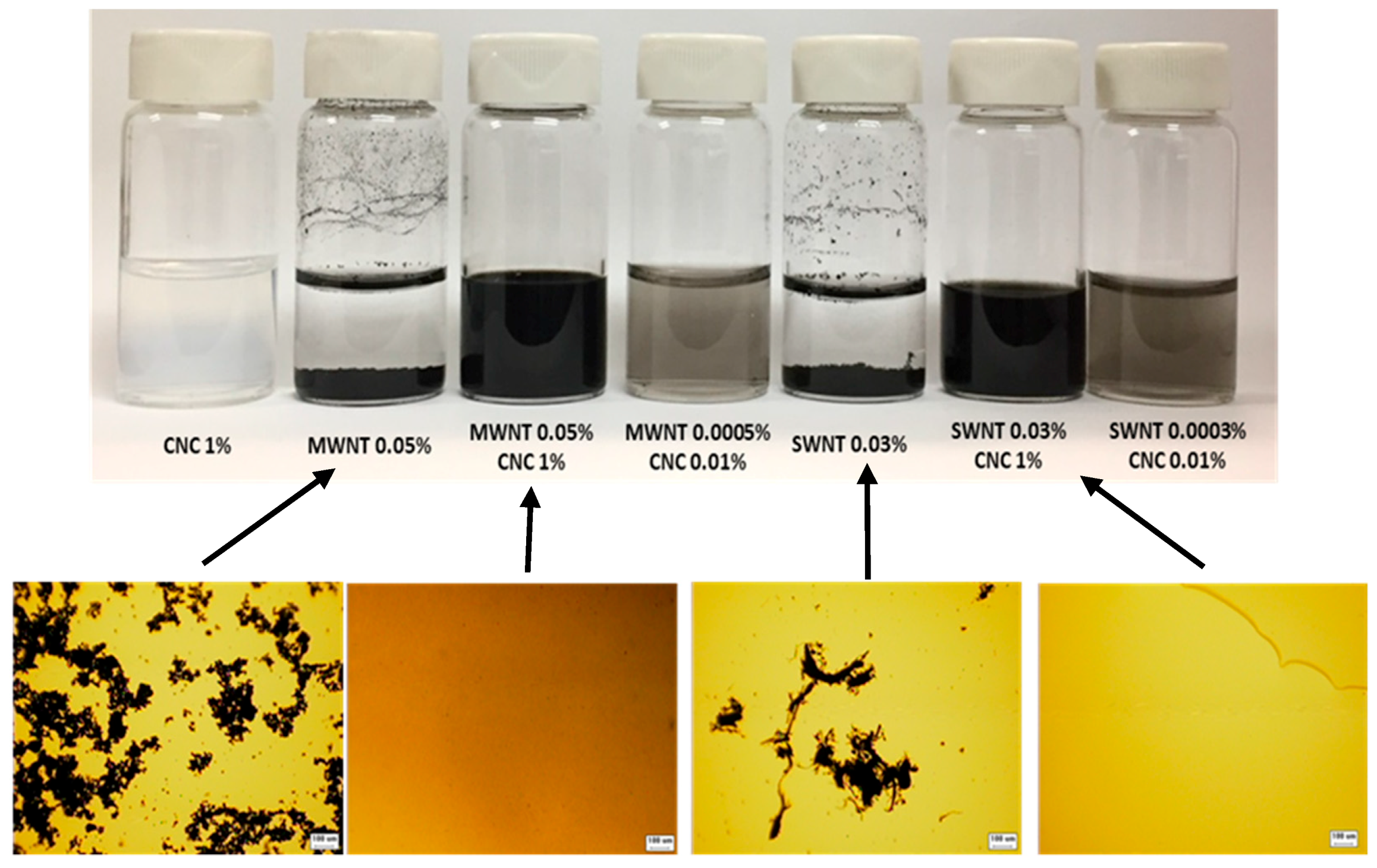 Molecules 24 02662 g001