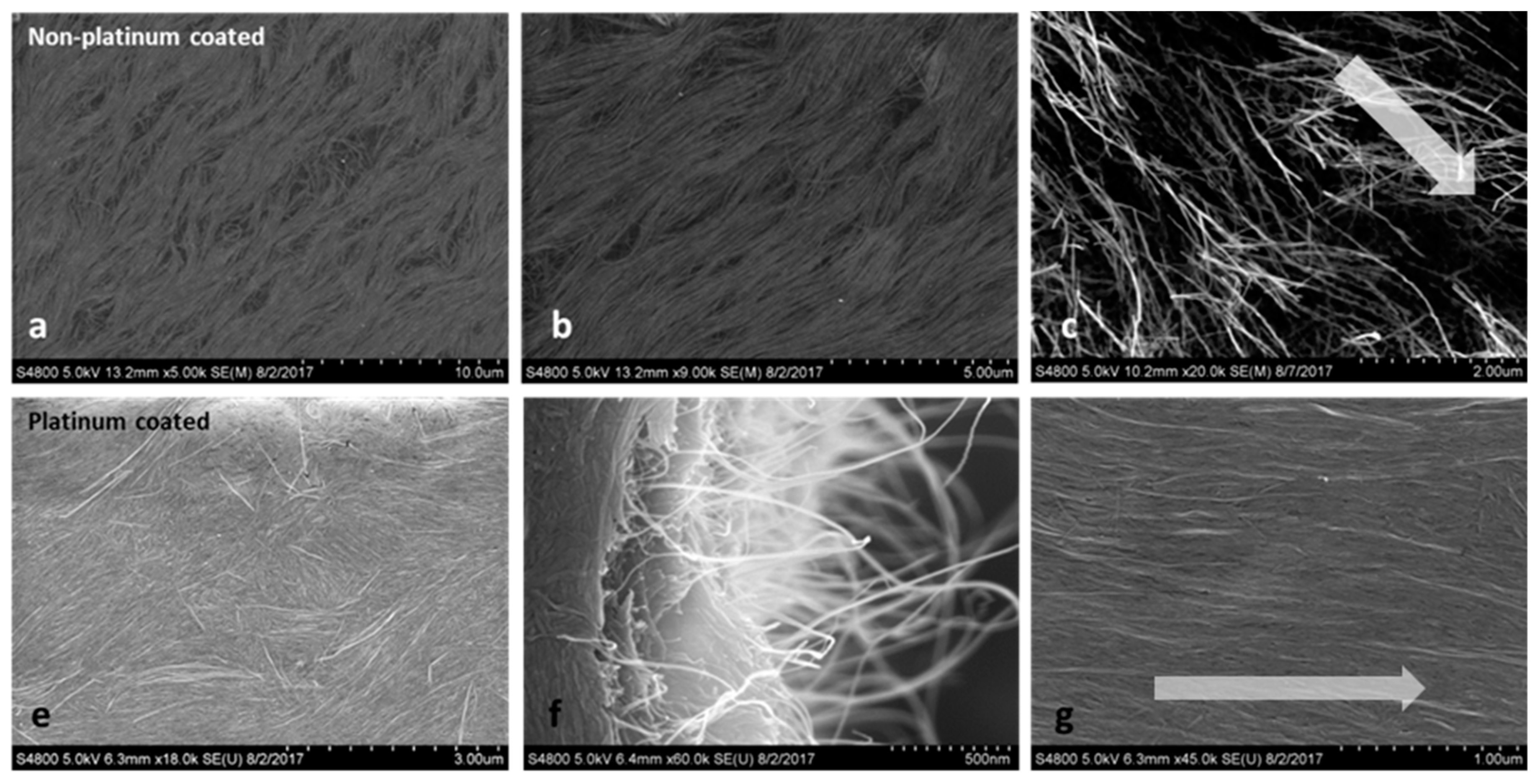 Molecules 24 02662 g008