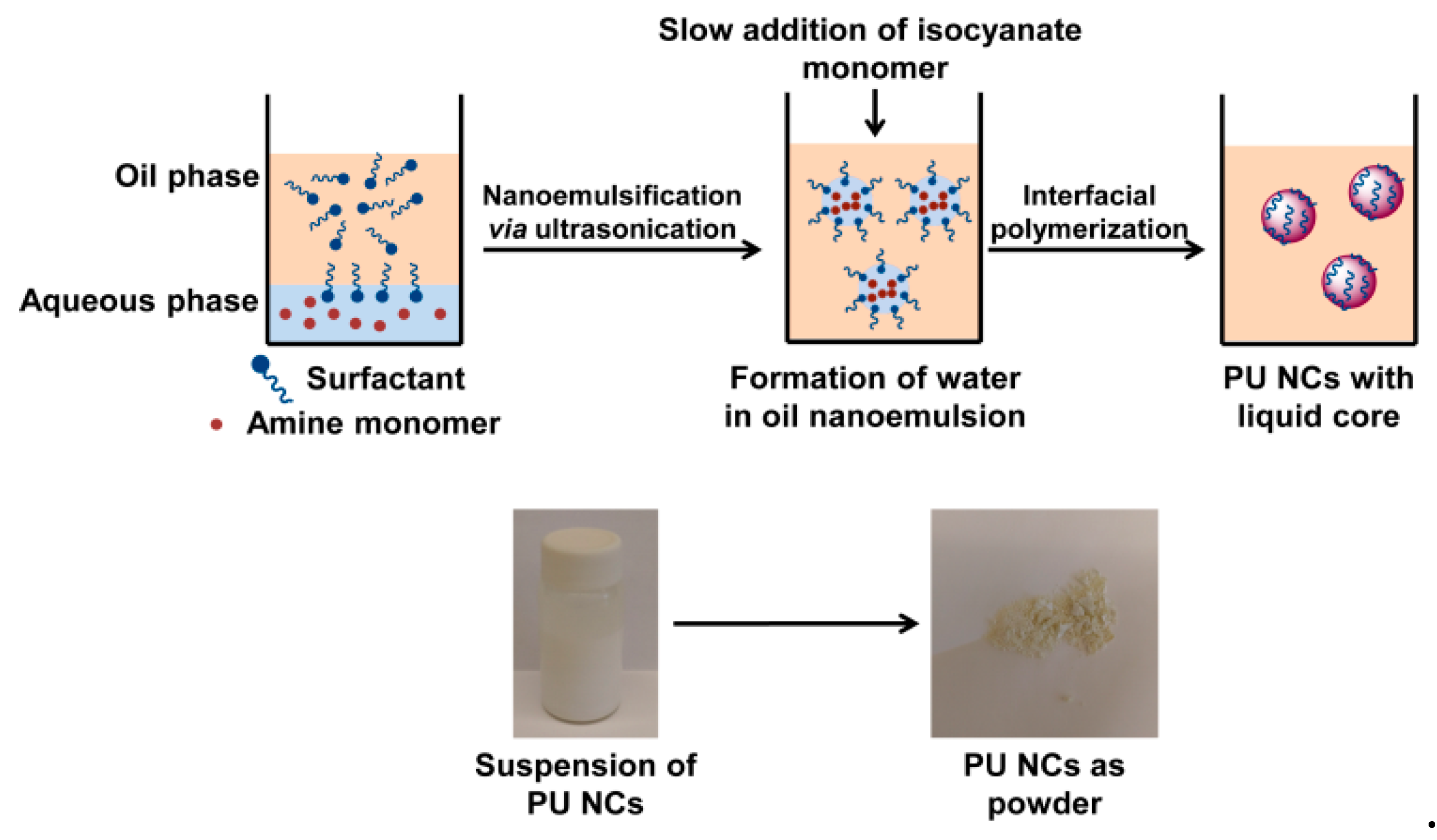 Molecules 24 02663 g001