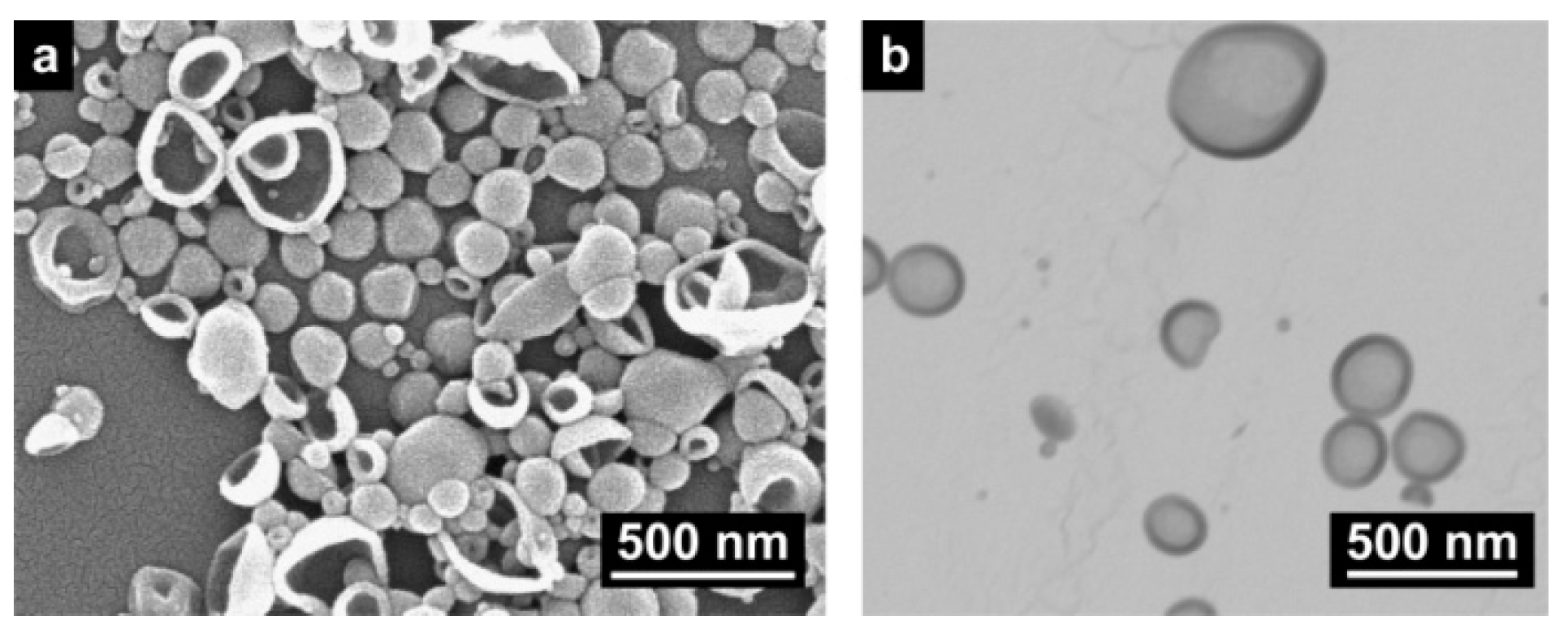 Molecules 24 02663 g002