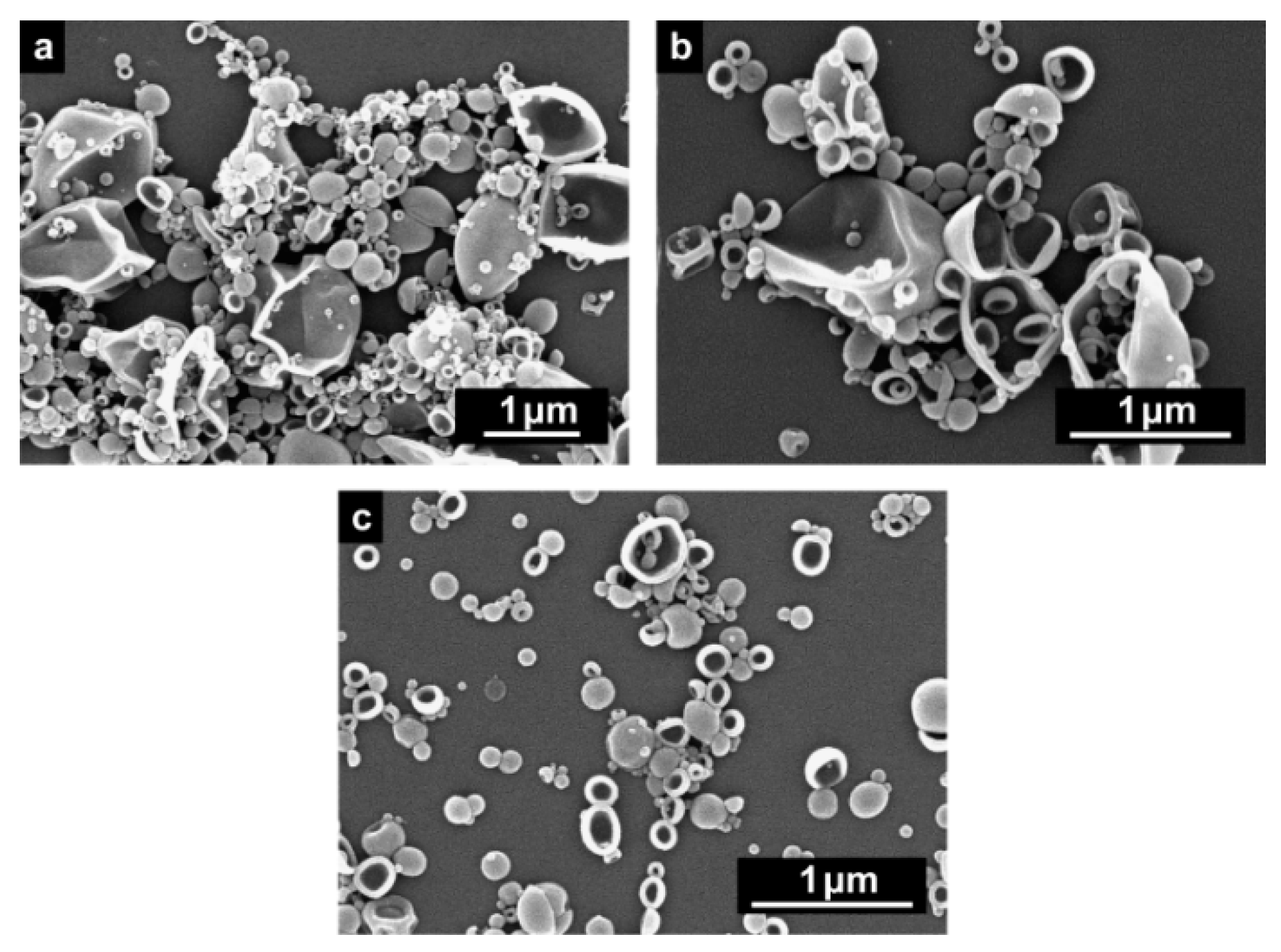 Molecules 24 02663 g003